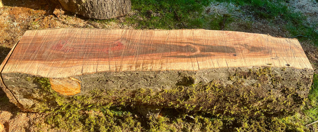 The Story Behind Live Edge Wood: What It Is and Why It Matters