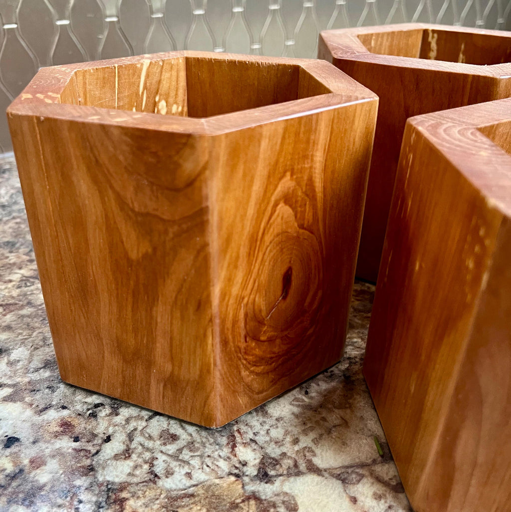 Handmade Apple Wood Pen & Pencil Holder | Locally Grown Heirloom Wood | Rustic Desk Organizer