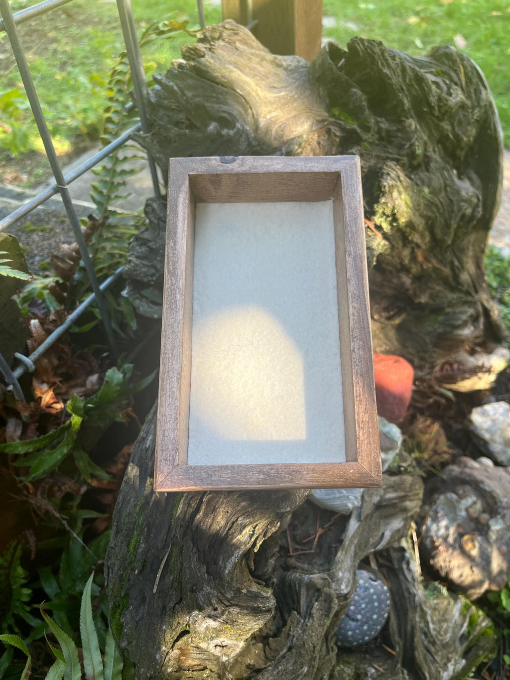 Handcrafted Plum Wood Jewelry Tray | Live-Edge, Felt-Lined Catchall