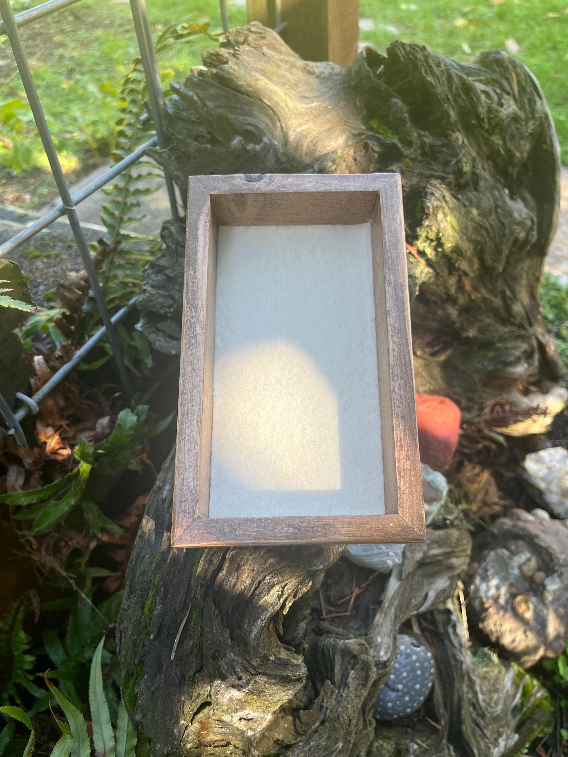 Handcrafted Plum Wood Jewelry Tray | Live-Edge, Felt-Lined Catchall