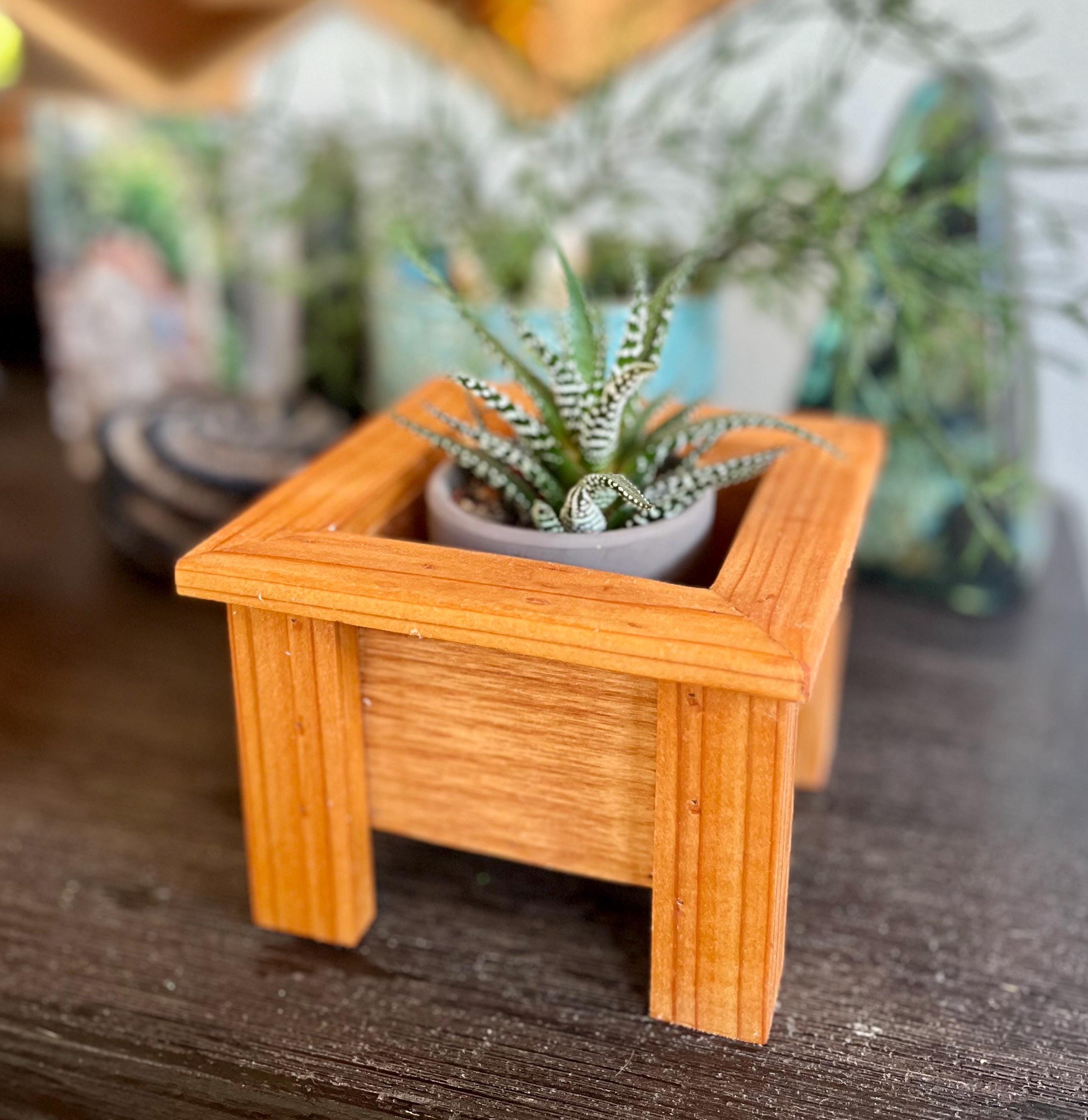 Mini Cedar Plant Stand: Rustic Reclaimed Wood Riser for 3-4" Pots