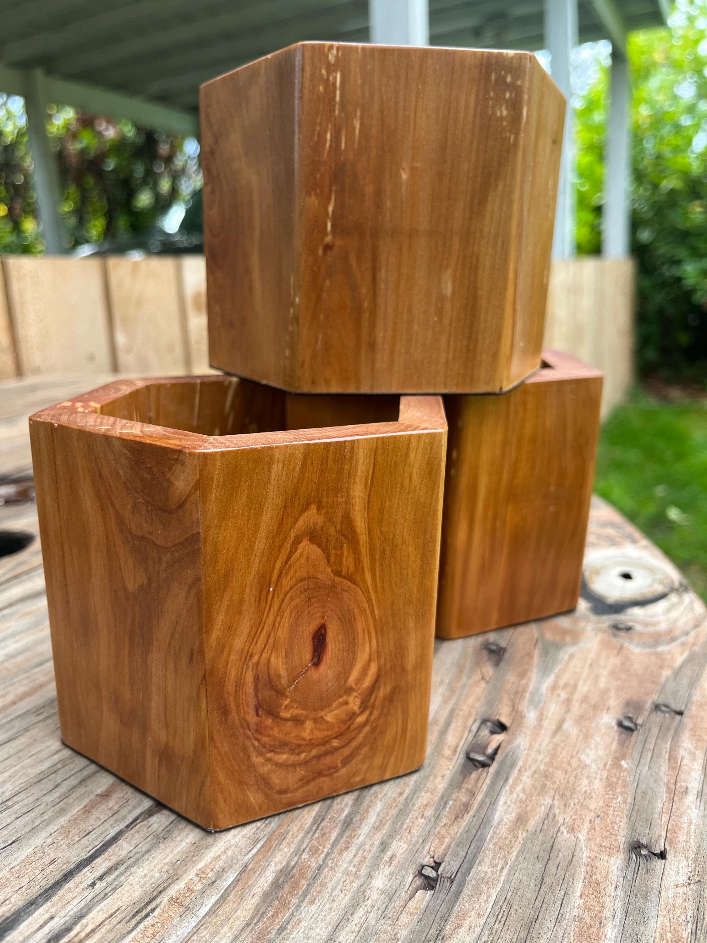 Handmade Apple Wood Pen & Pencil Holder | Locally Grown Heirloom Wood | Rustic Desk Organizer