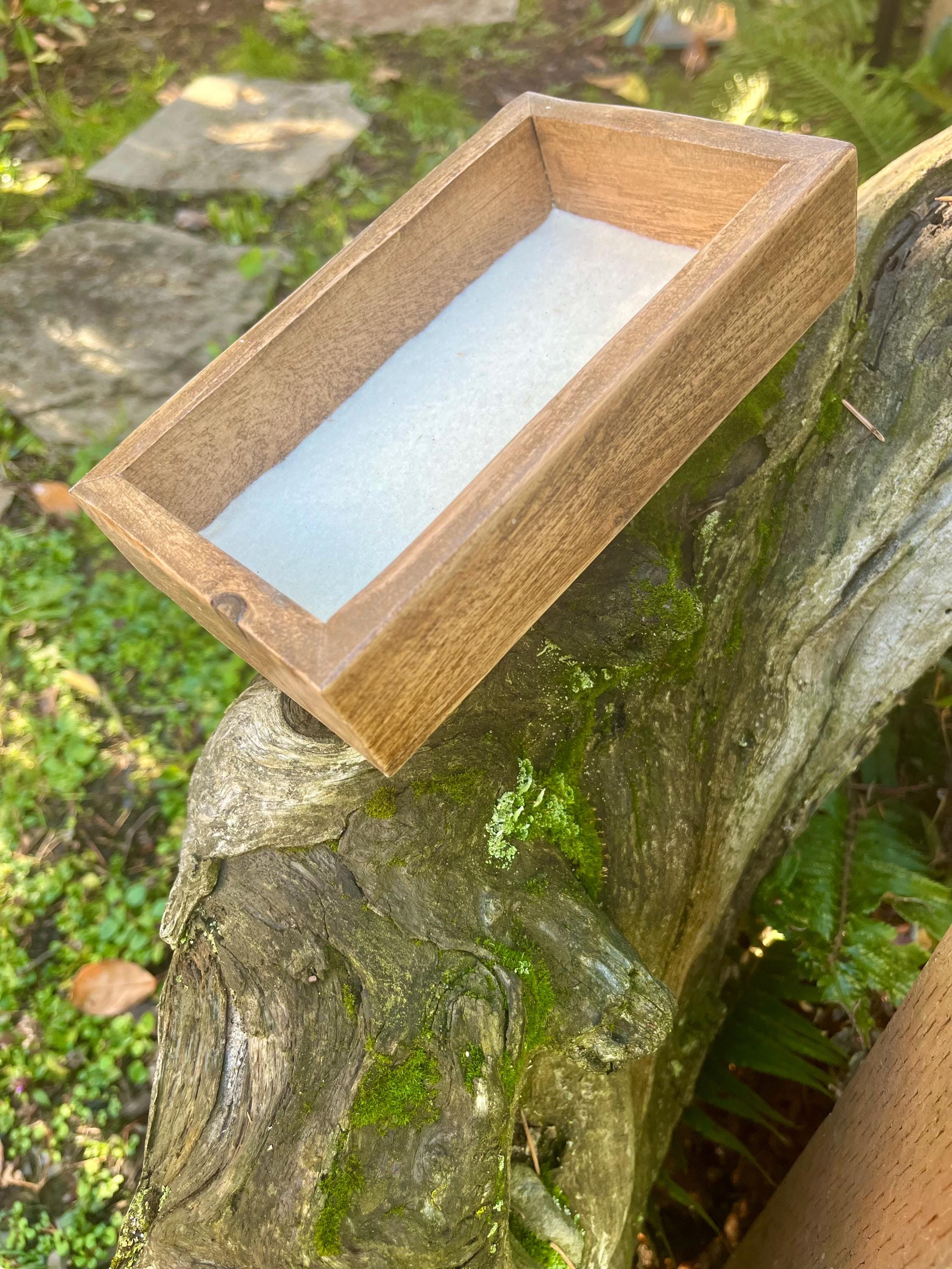 Handcrafted Plum Wood Jewelry Tray | Live-Edge, Felt-Lined Catchall