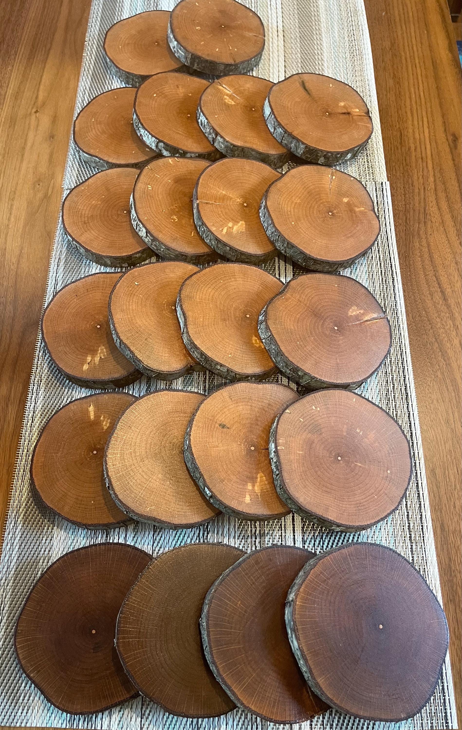 Live-Edge Wood Coasters: Rustic Hazelnut Tree Slices, Set of 4