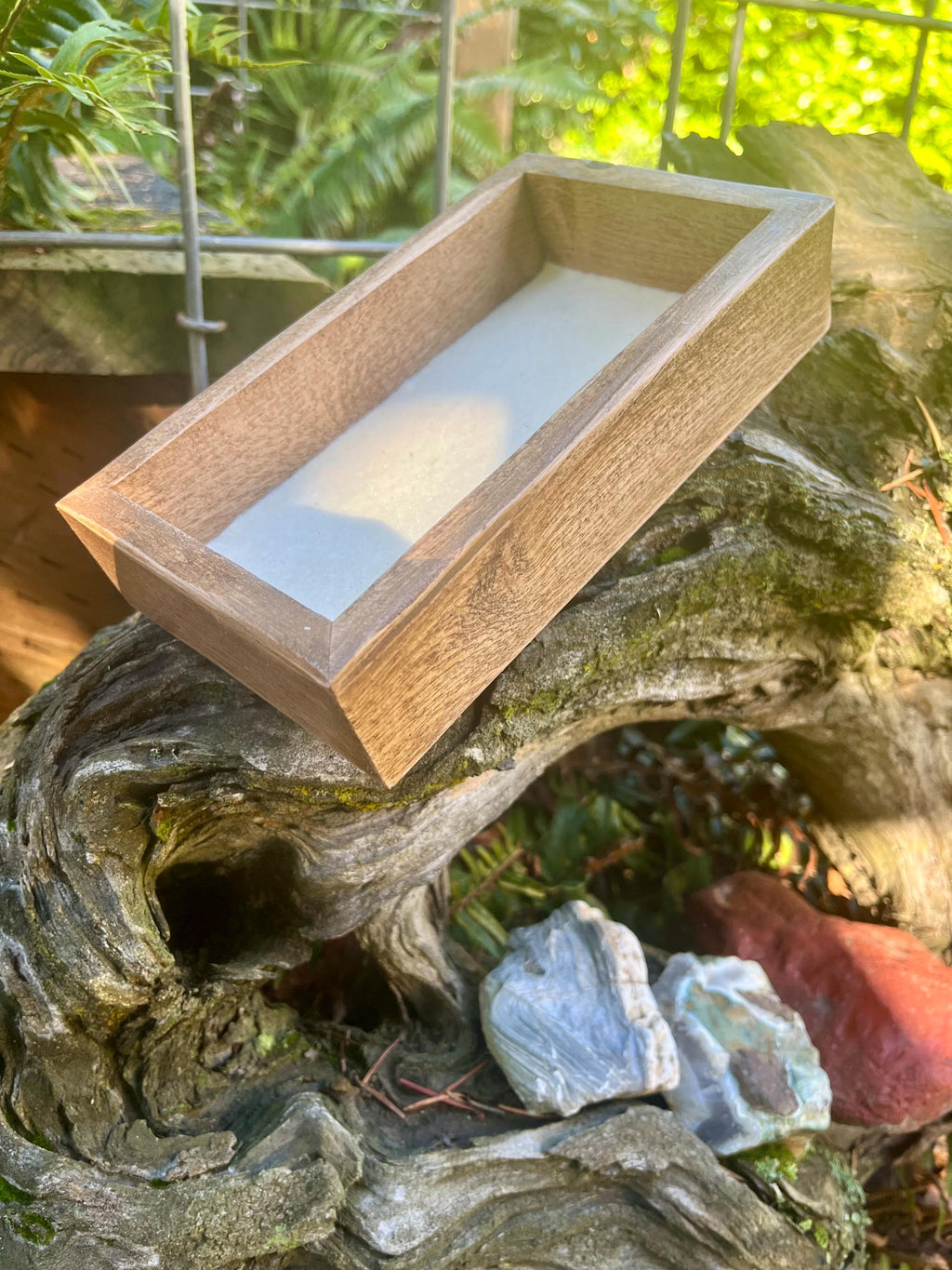 Handcrafted Plum Wood Jewelry Tray | Live-Edge, Felt-Lined Catchall