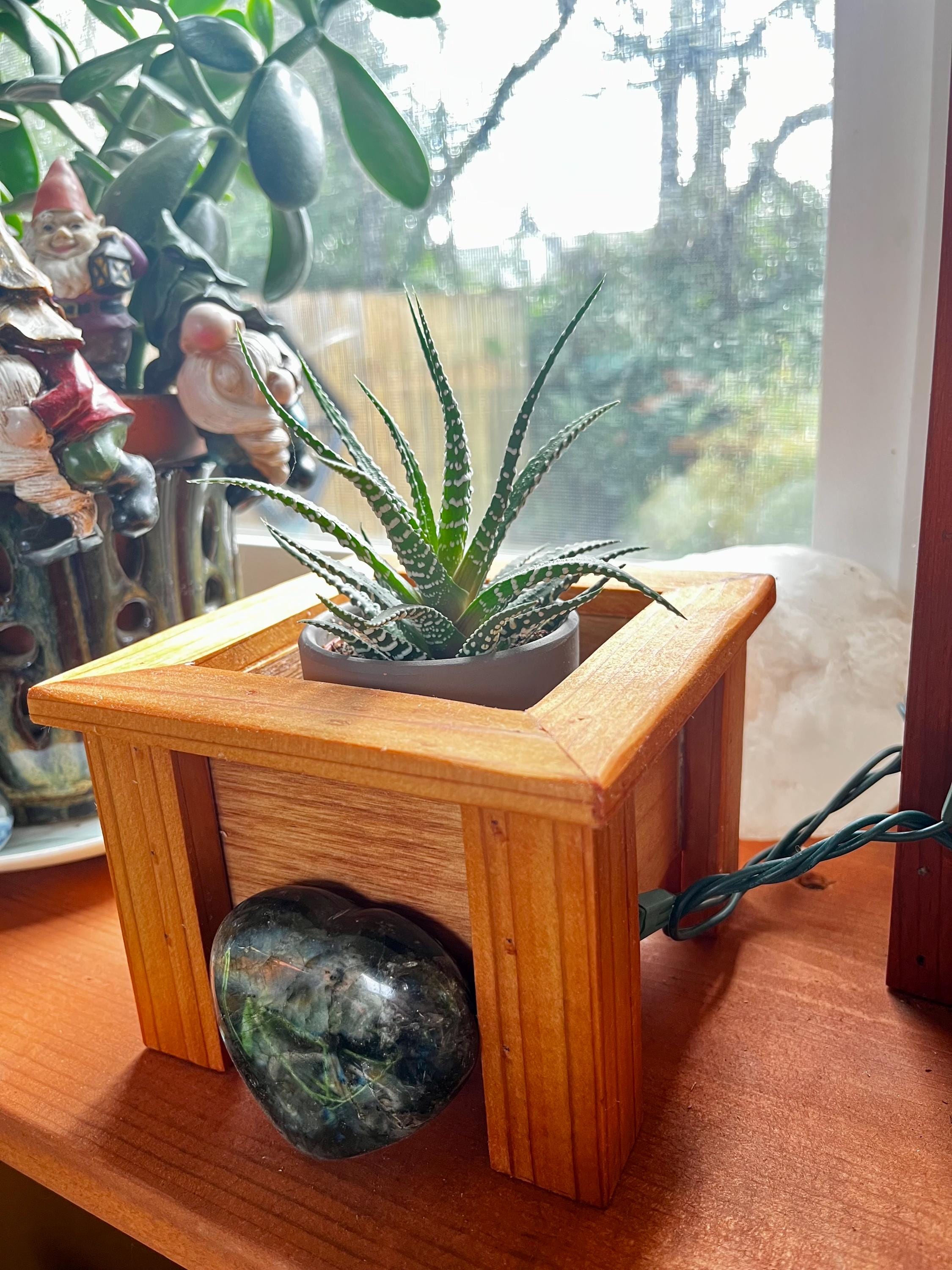 Mini Cedar Plant Stand: Rustic Reclaimed Wood Riser for 3-4" Pots