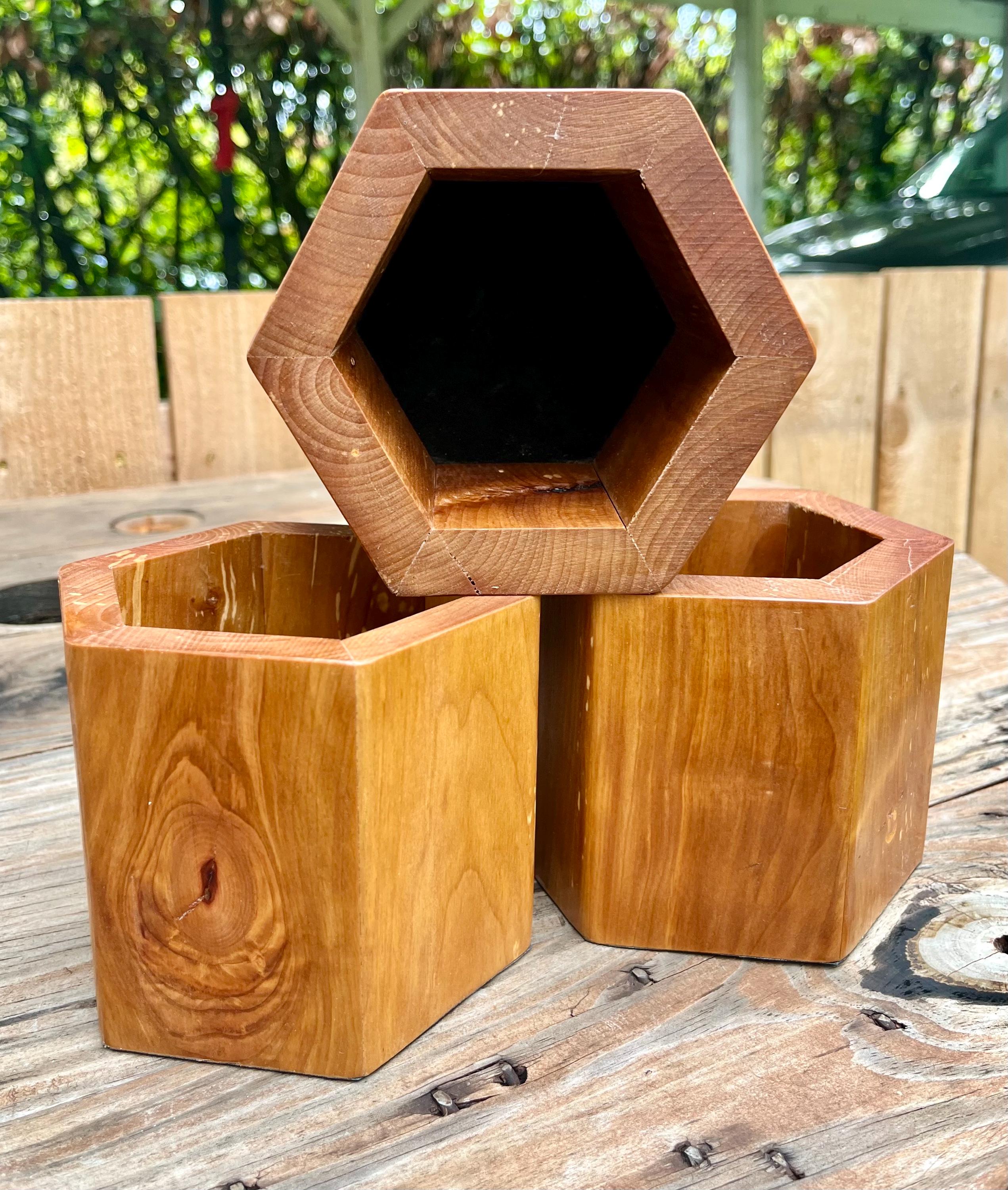Handmade Apple Wood Pen & Pencil Holder | Locally Grown Heirloom Wood | Rustic Desk Organizer