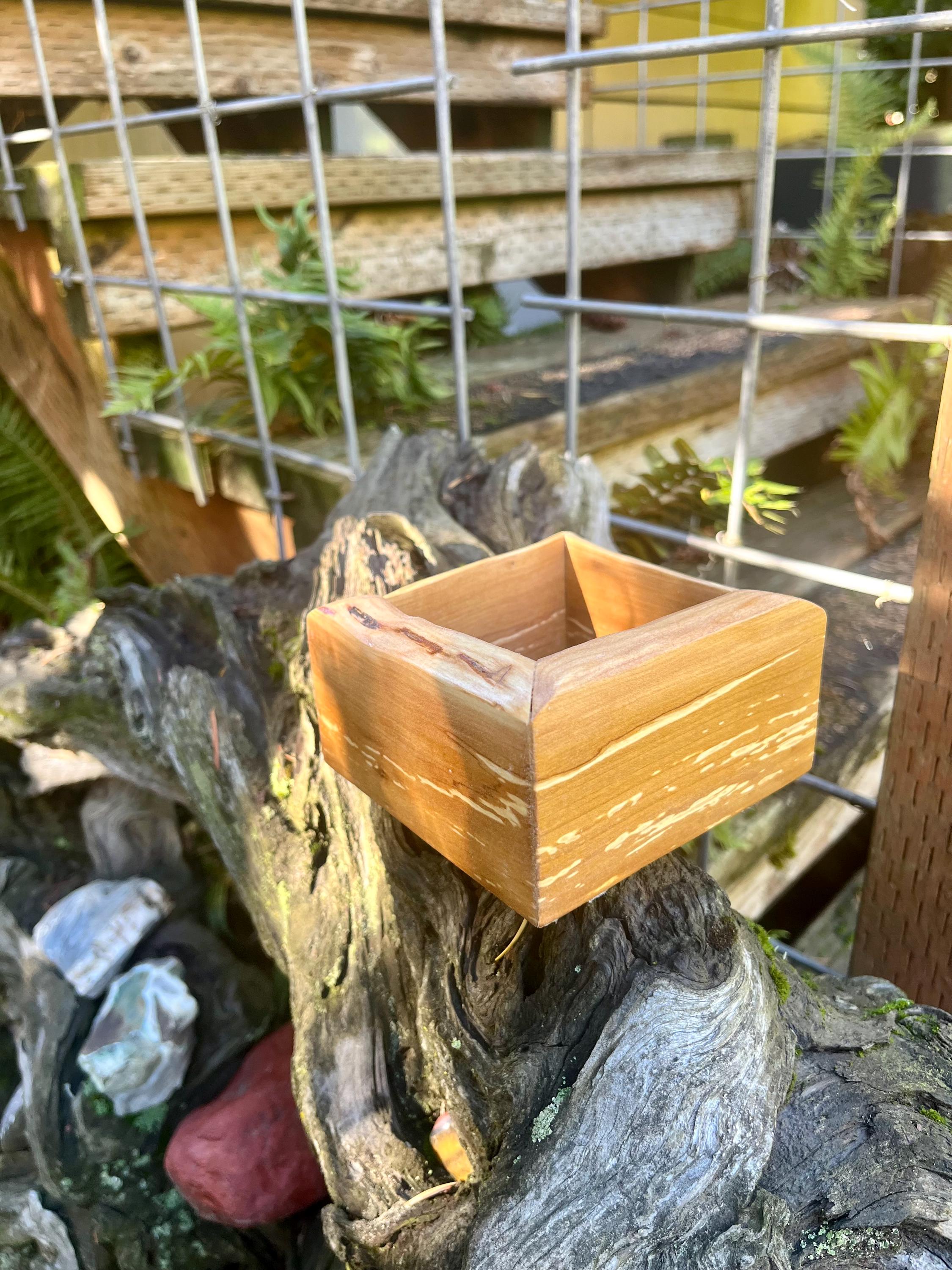 Handmade Apple Wood Keepsake Box | Live-Edge Ring Box