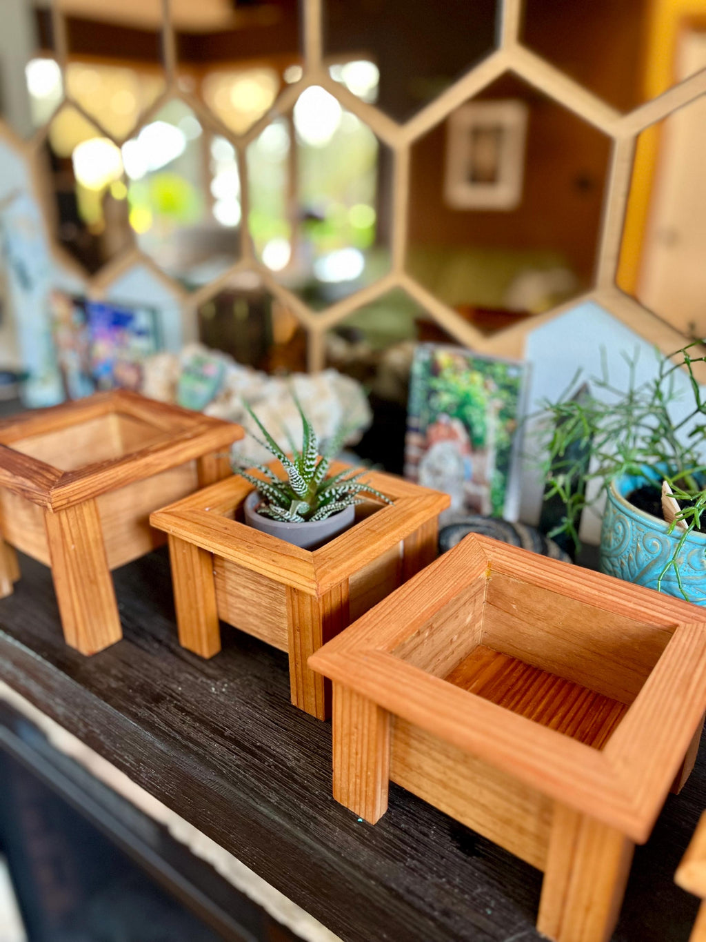 Mini Cedar Plant Stand: Rustic Reclaimed Wood Riser for 3-4" Pots