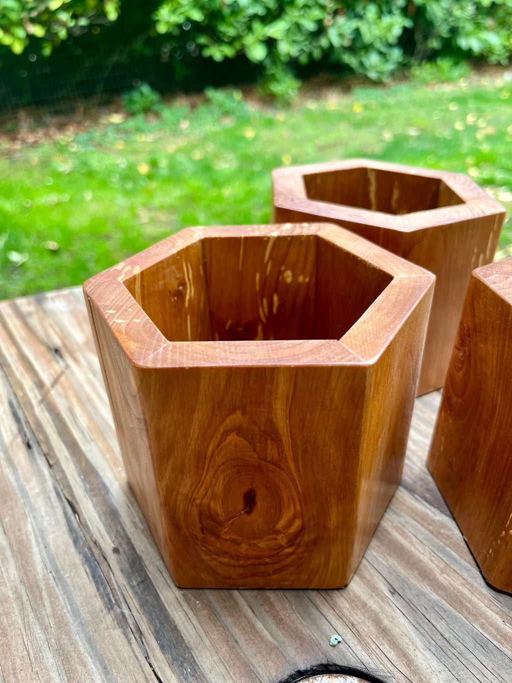 Handmade Apple Wood Pen & Pencil Holder | Locally Grown Heirloom Wood | Rustic Desk Organizer