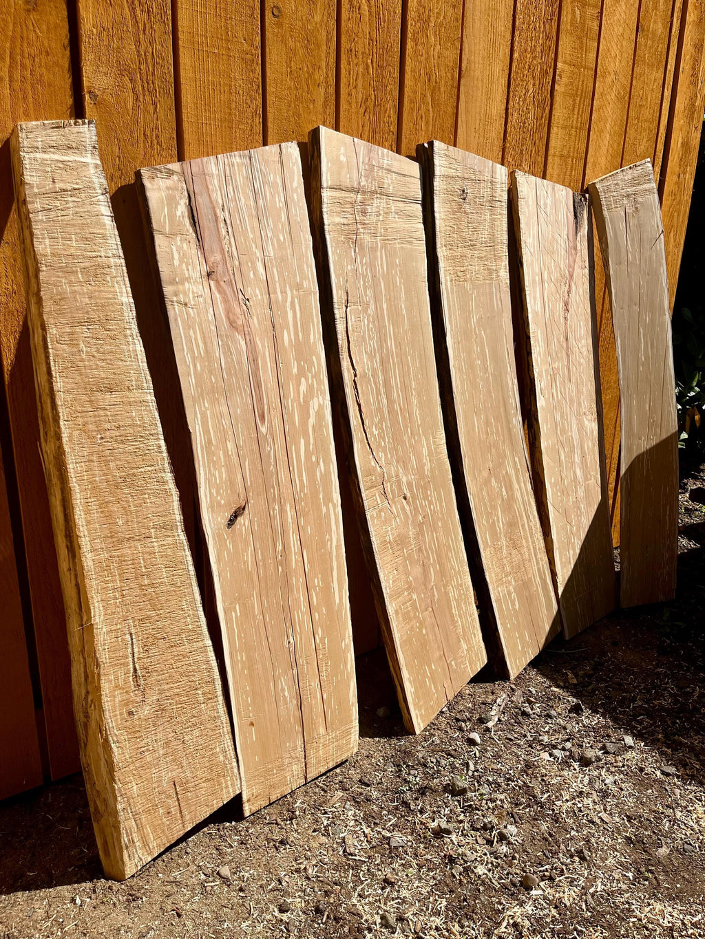 Handmade Apple Wood Jewelry Tray | Live-Edge, Sparkle Lining