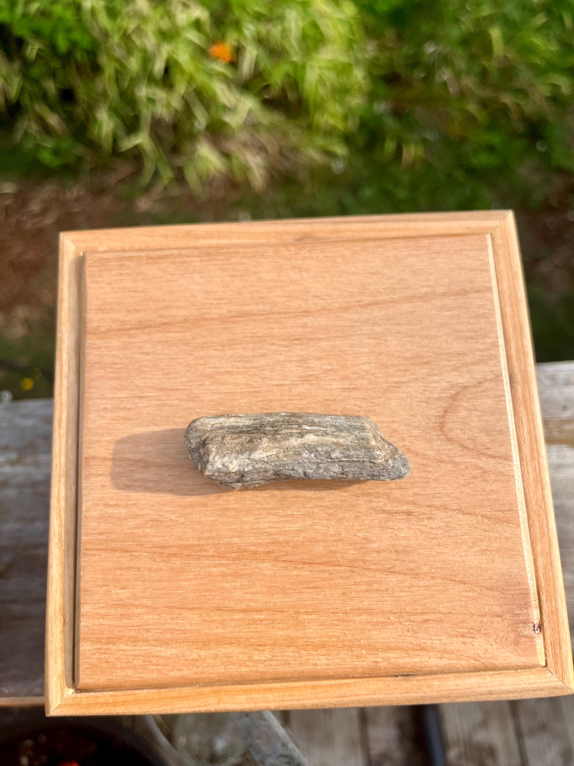 Apple Wood Jewelry Box with Petrified Wood Lid: Green Felt Lined