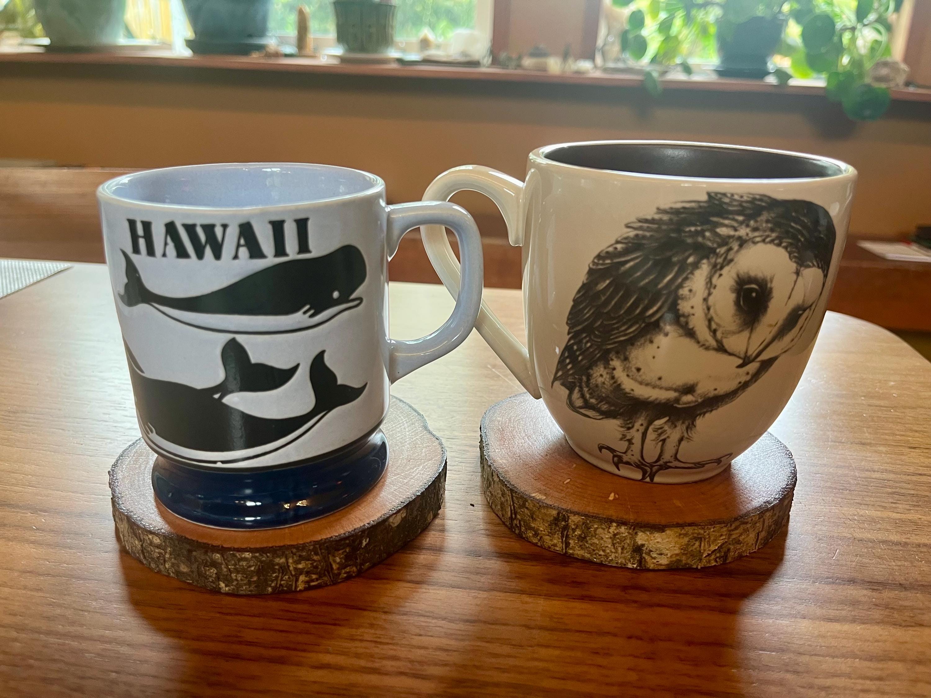 Live-Edge Wood Coasters: Rustic Hazelnut Tree Slices, Set of 4