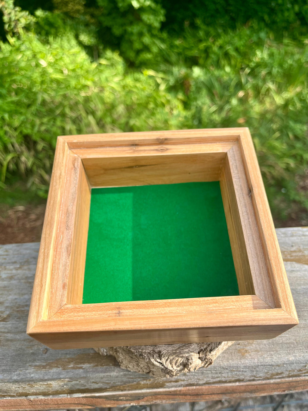 Apple Wood Jewelry Box with Petrified Wood Lid: Green Felt Lined