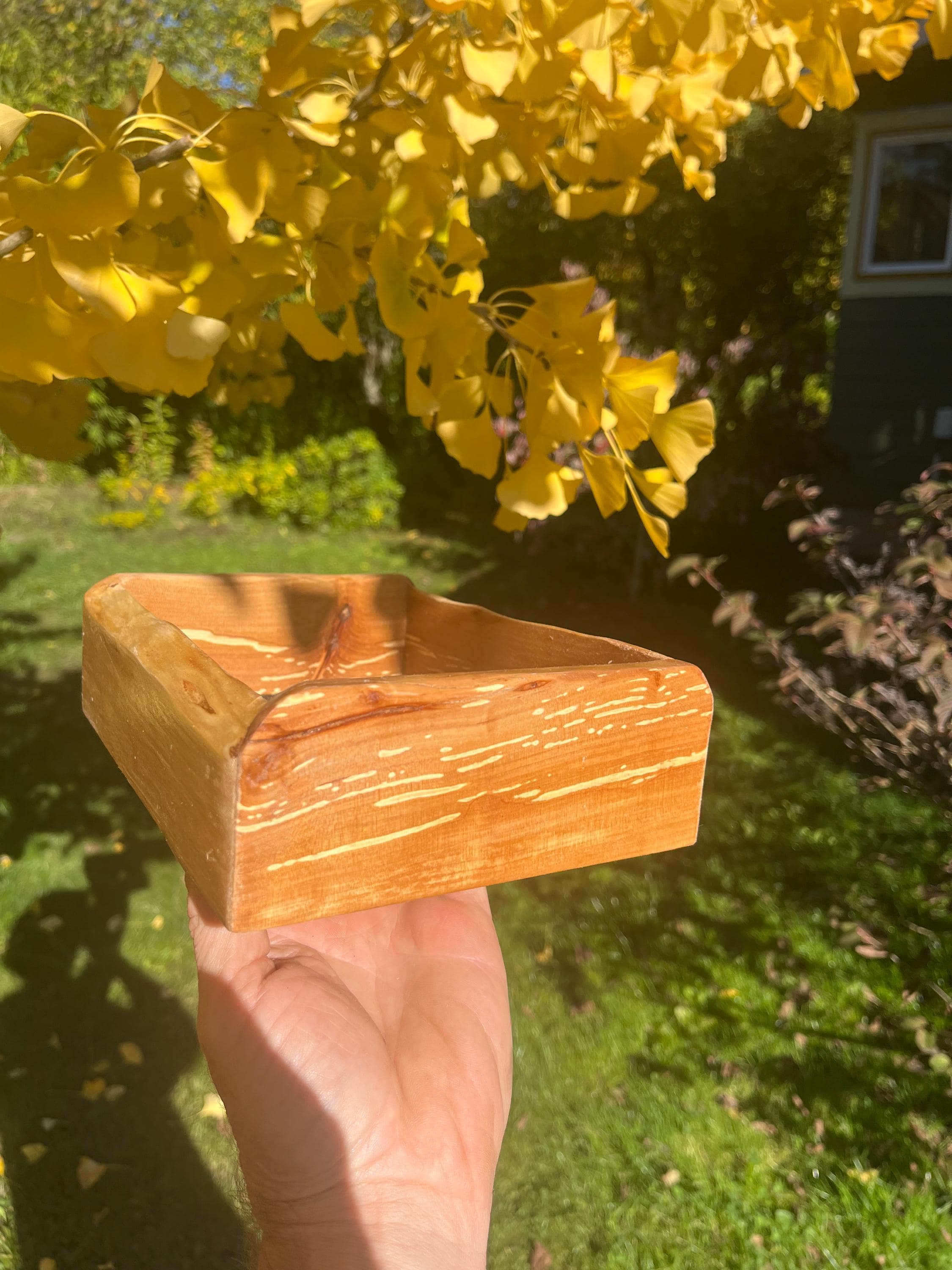 Handmade Apple Wood Jewelry Tray | Live-Edge, Sparkle Lining