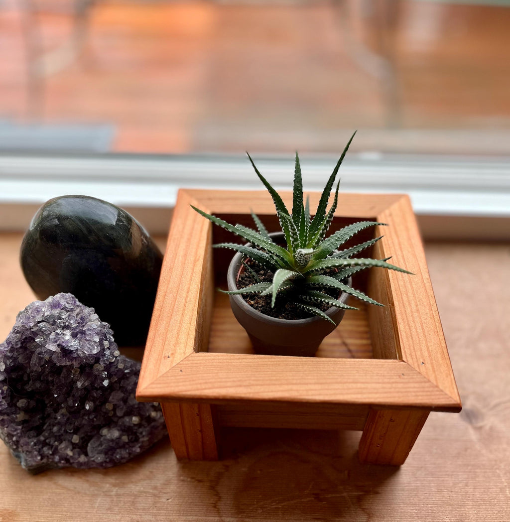 Mini Cedar Plant Stand: Rustic Reclaimed Wood Riser for 3-4" Pots