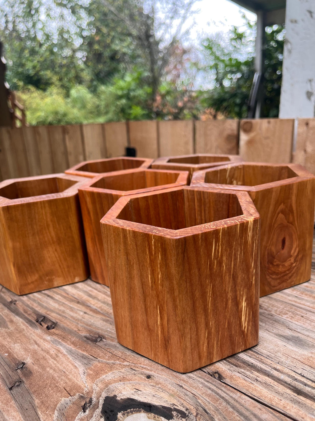 Handmade Apple Wood Pen & Pencil Holder | Locally Grown Heirloom Wood | Rustic Desk Organizer