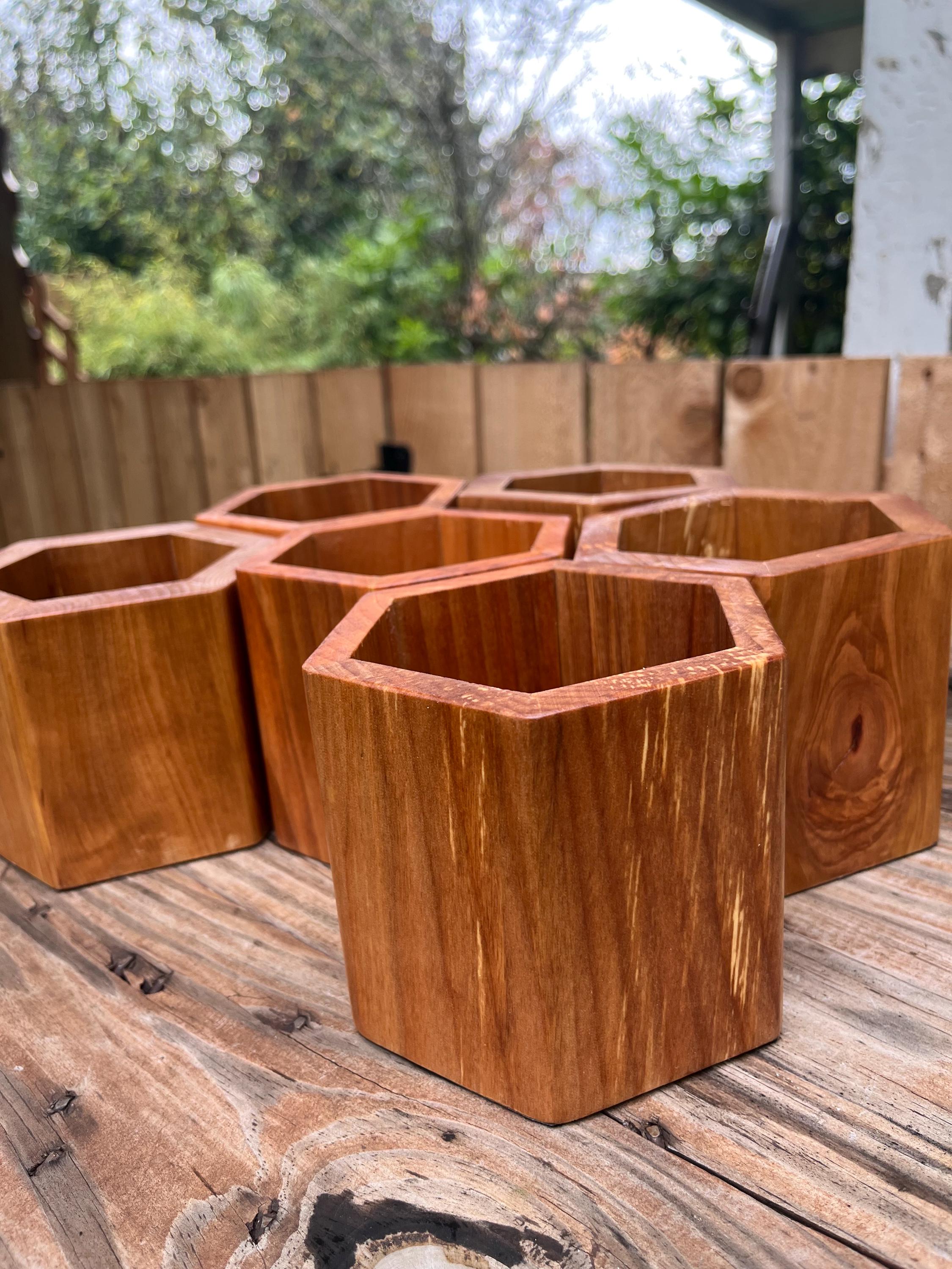 Handmade Apple Wood Pen & Pencil Holder | Locally Grown Heirloom Wood | Rustic Desk Organizer