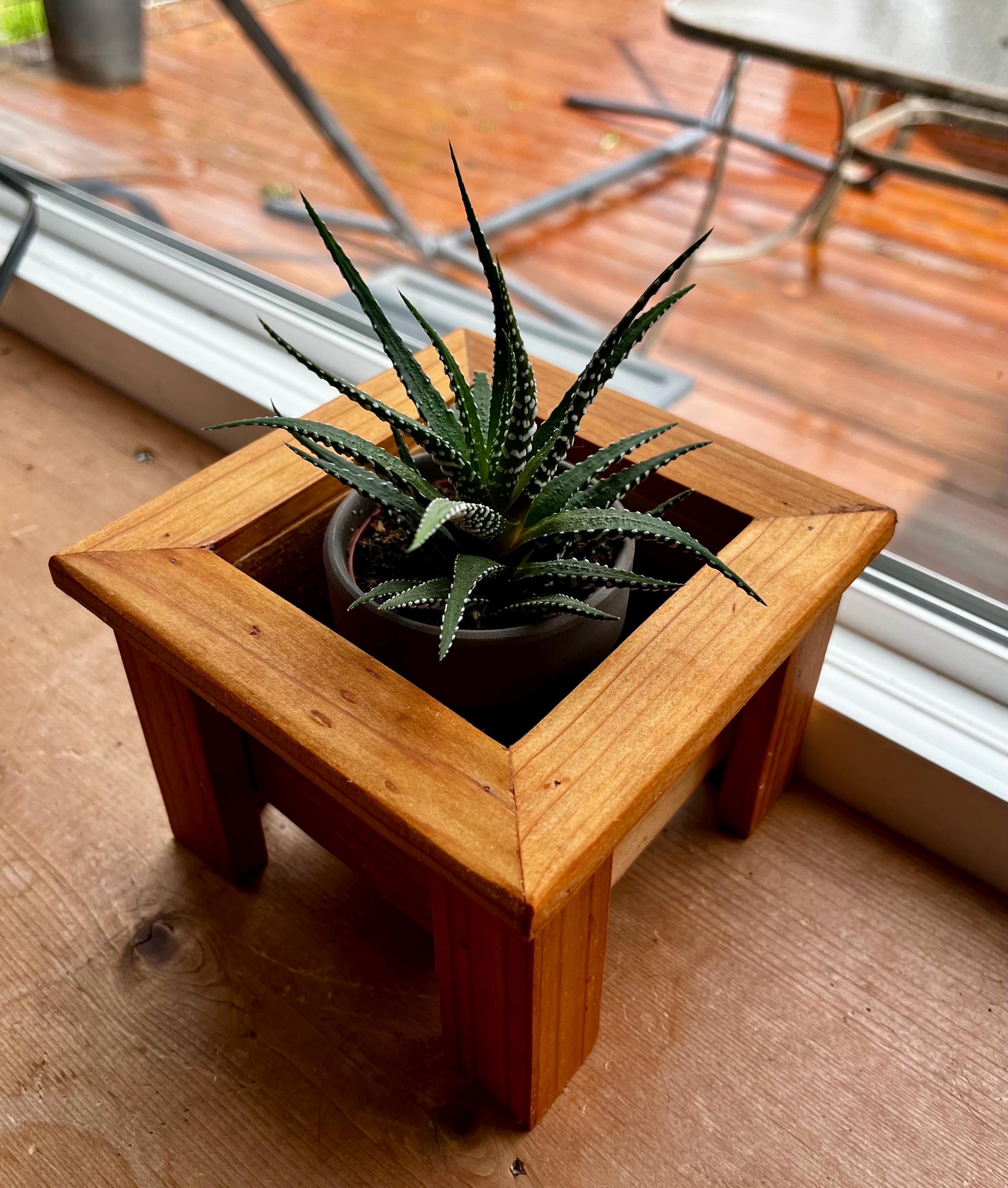 Mini Cedar Plant Stand: Rustic Reclaimed Wood Riser for 3-4" Pots