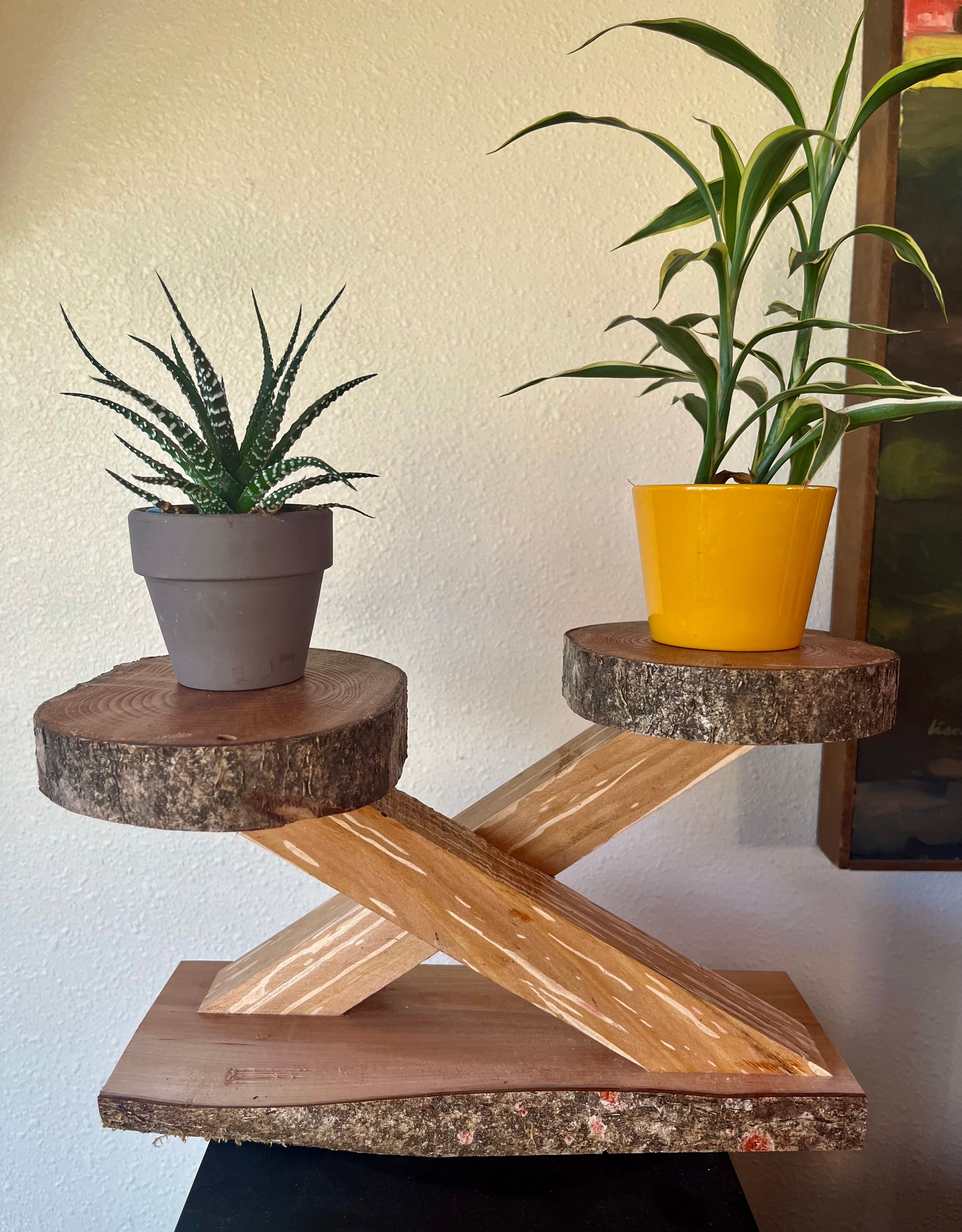 Live-Edge Heirloom Apple Wood Plant Stand – Tops are Handcrafted from a Single Limb