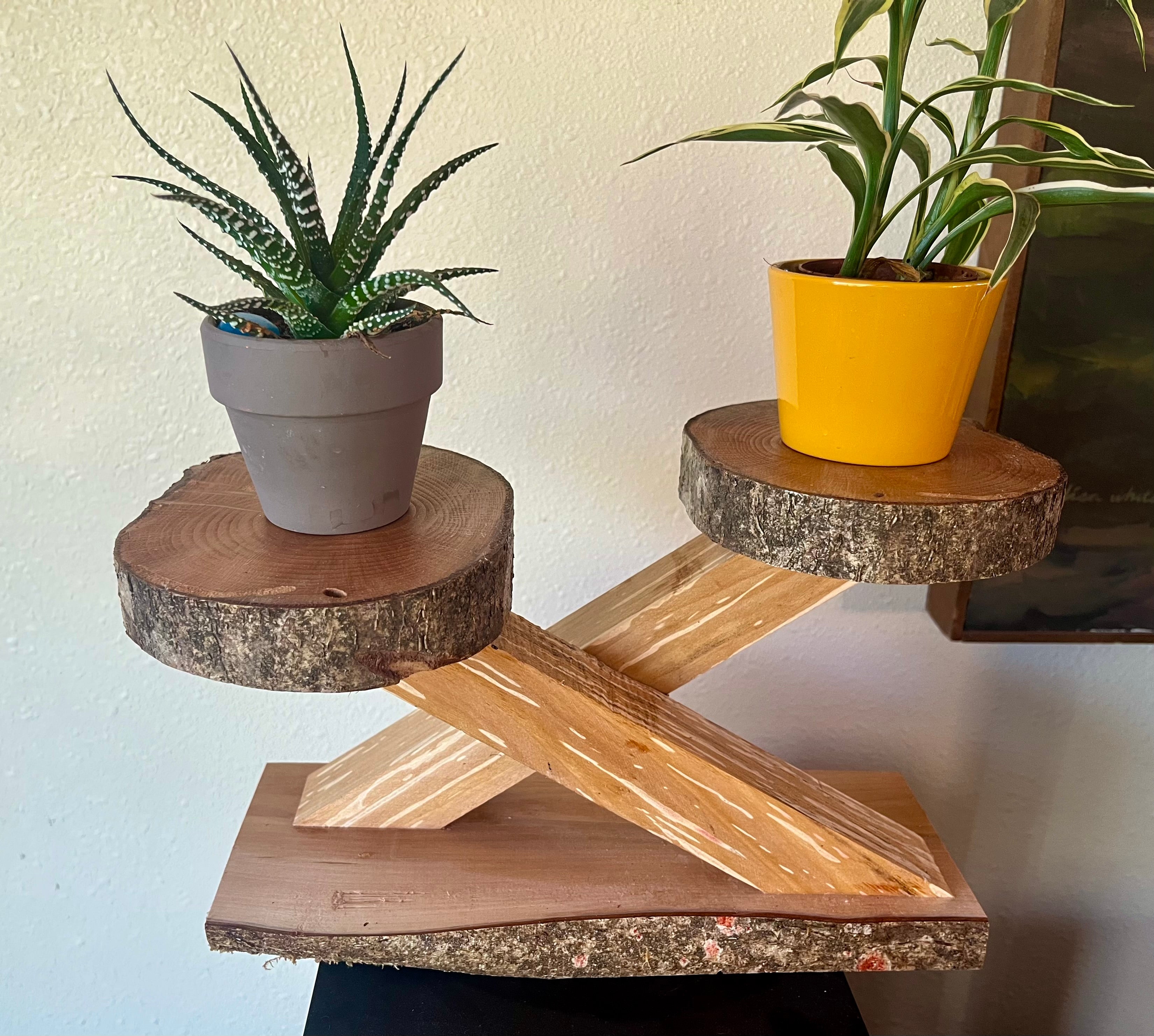 Live-Edge Heirloom Apple Wood Plant Stand – Tops are Handcrafted from a Single Limb