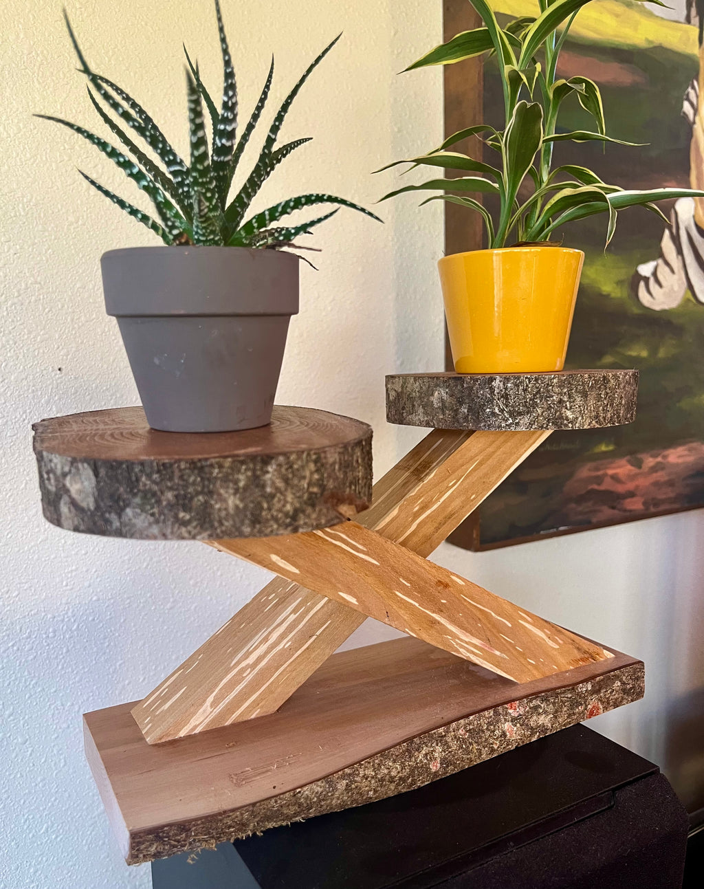 Live-Edge Heirloom Apple Wood Plant Stand – Tops are Handcrafted from a Single Limb