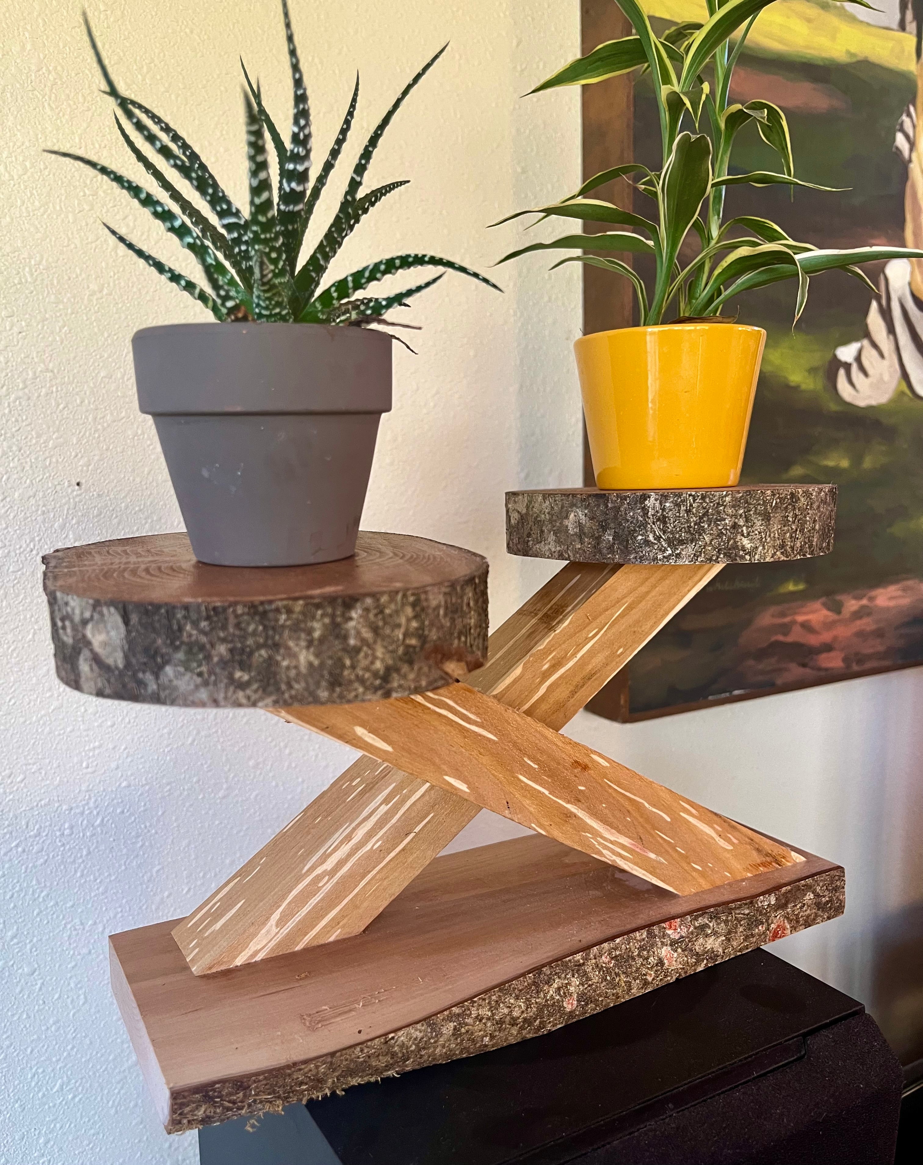 Live-Edge Heirloom Apple Wood Plant Stand – Tops are Handcrafted from a Single Limb