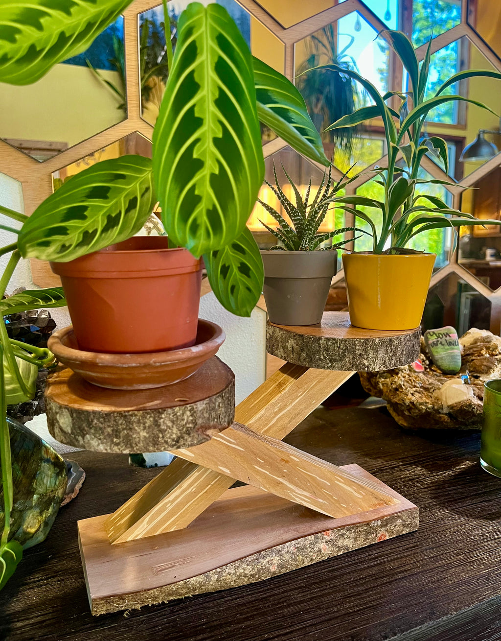 Live-Edge Heirloom Apple Wood Plant Stand – Tops are Handcrafted from a Single Limb