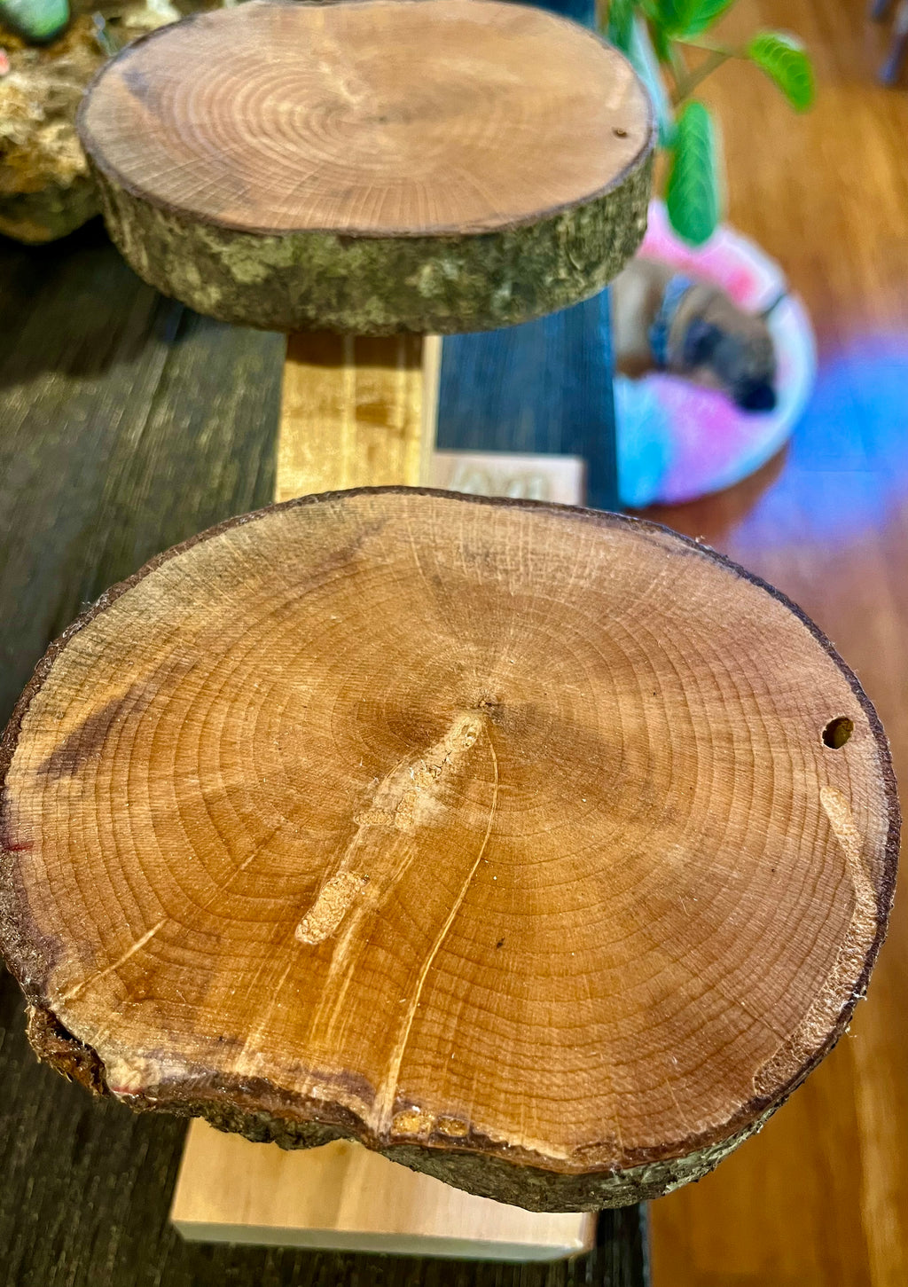 Live-Edge Heirloom Apple Wood Plant Stand – Tops are Handcrafted from a Single Limb