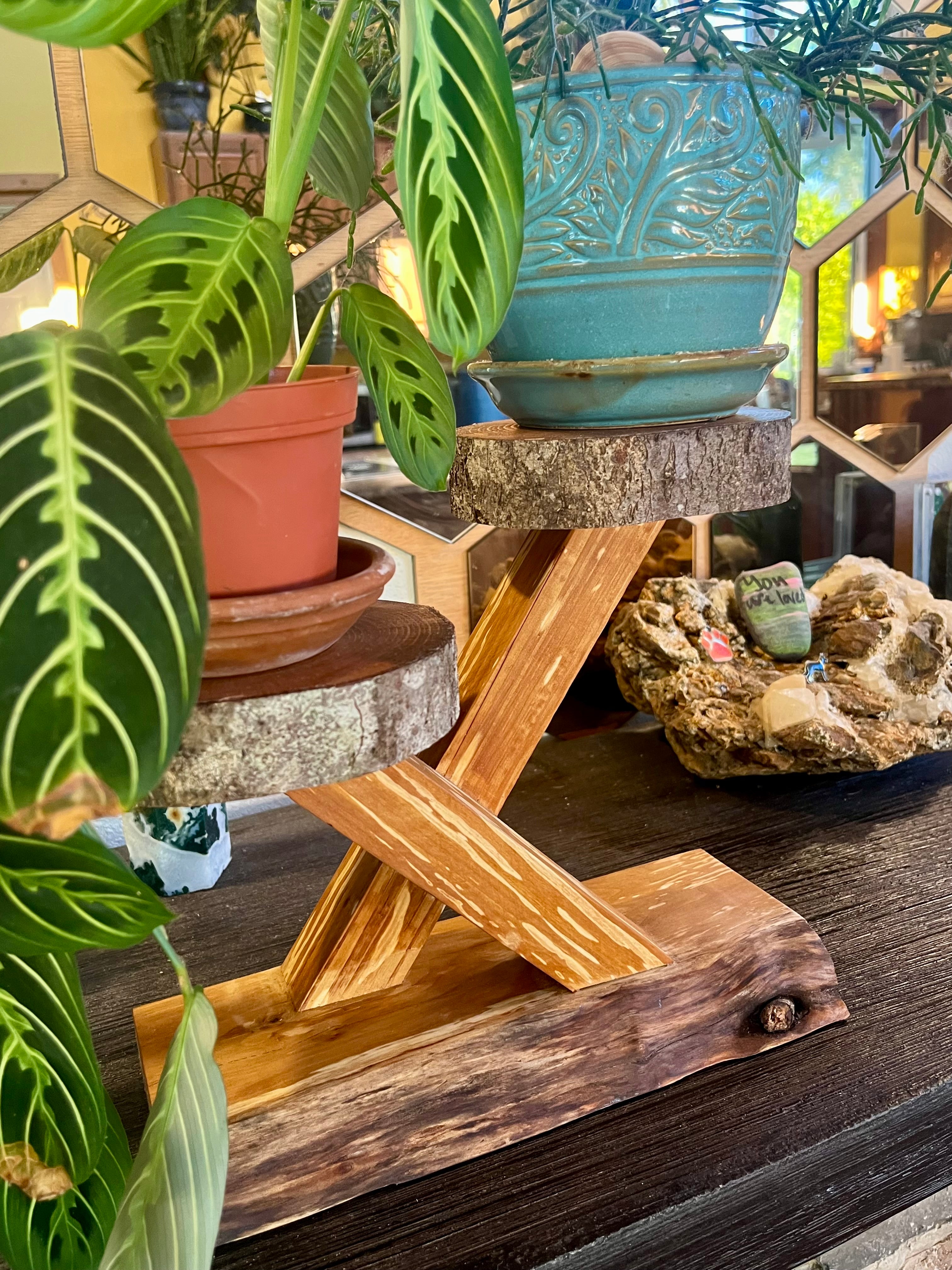 100% Heirloom Apple Wood Plant Stand  on a Live-Edge Base, Handcrafted, Tung Oil Finish