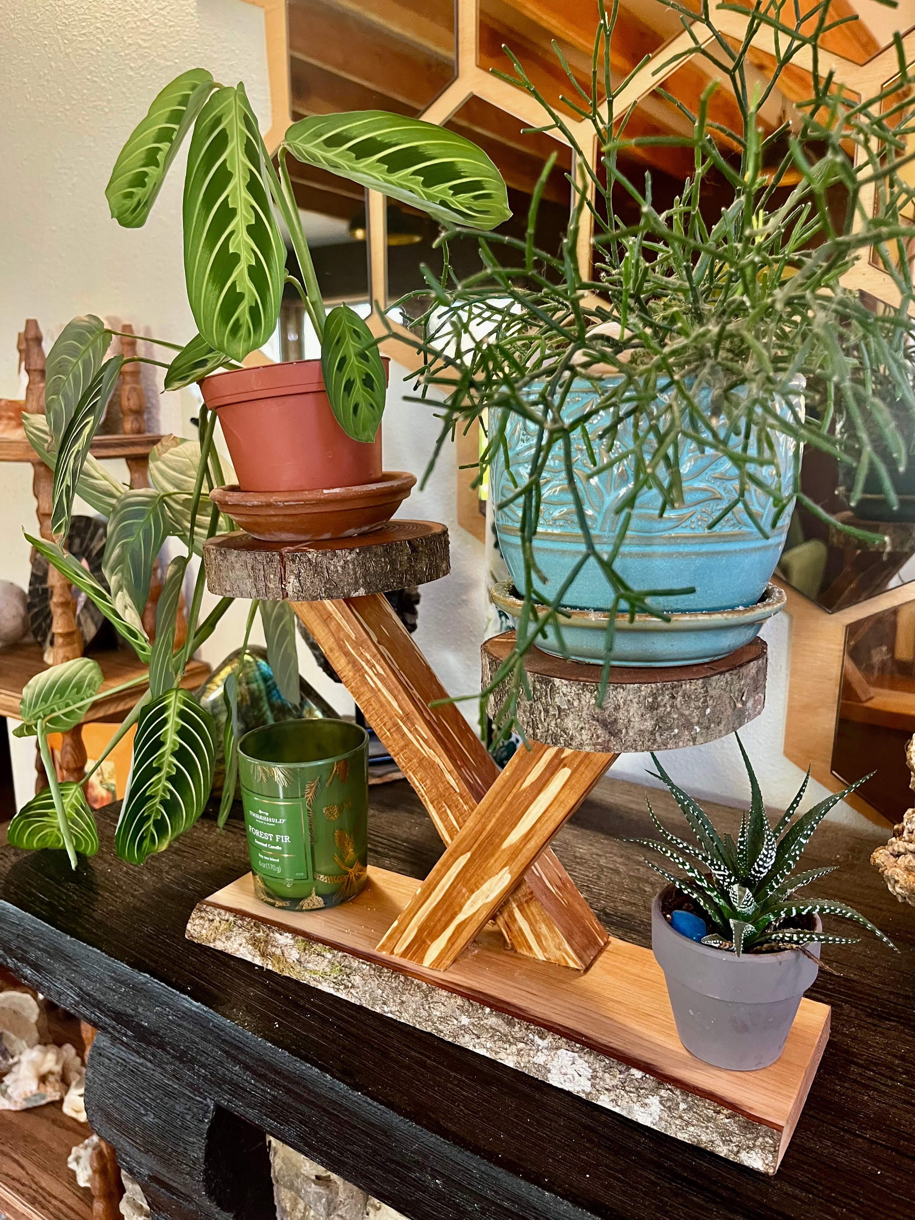 Heirloom Apple Wood Plant Stand with Live-Edge Plum Wood Base, Tung Oil Finish