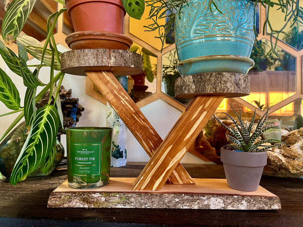 Heirloom Apple Wood Plant Stand with Live-Edge Plum Wood Base, Tung Oil Finish