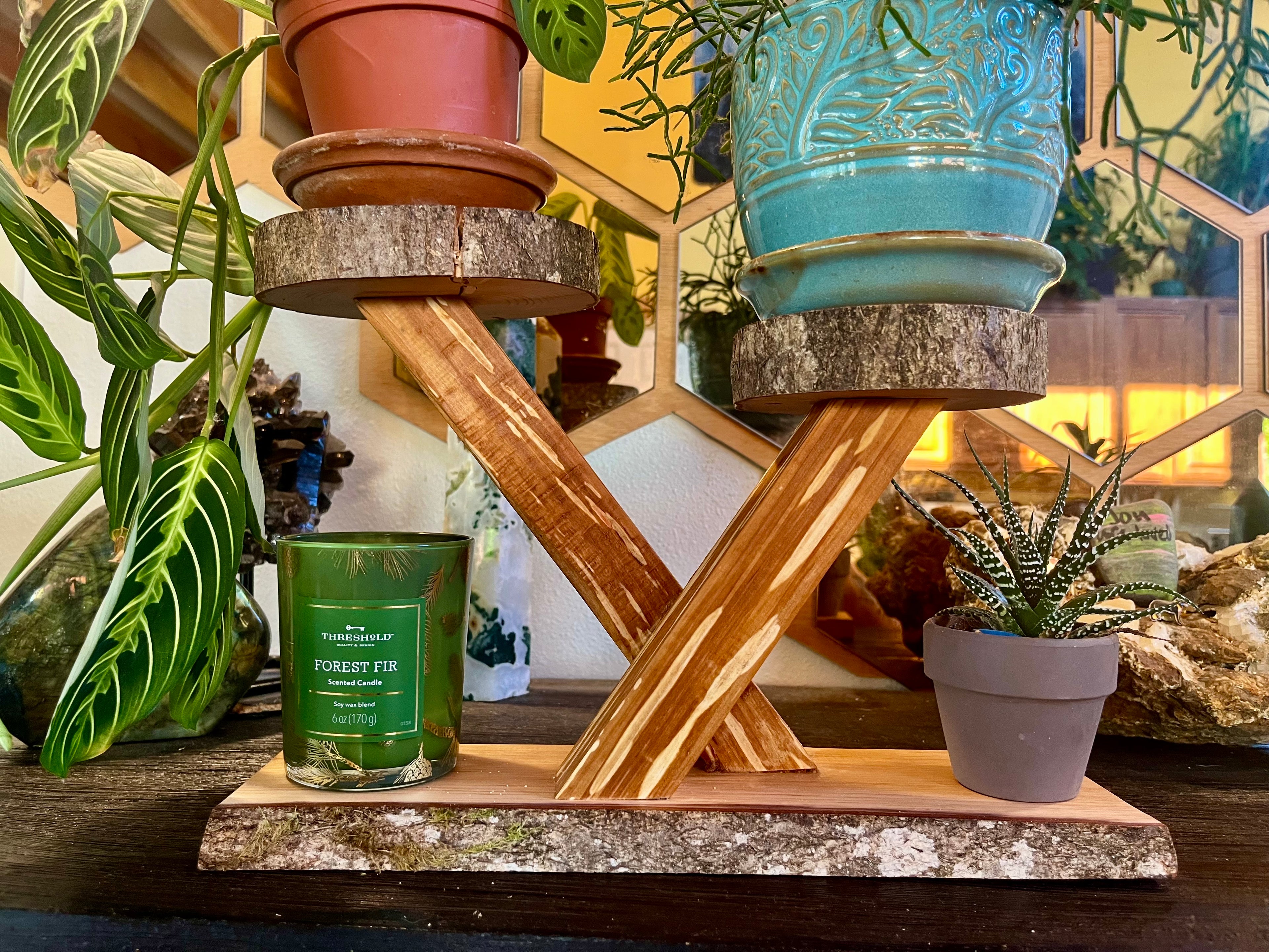 Heirloom Apple Wood Plant Stand with Live-Edge Plum Wood Base, Tung Oil Finish