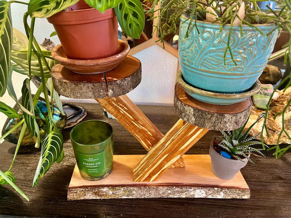 Heirloom Apple Wood Plant Stand with Live-Edge Plum Wood Base, Tung Oil Finish