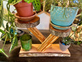 Heirloom Apple Wood Plant Stand with Live-Edge Plum Wood Base, Tung Oil Finish