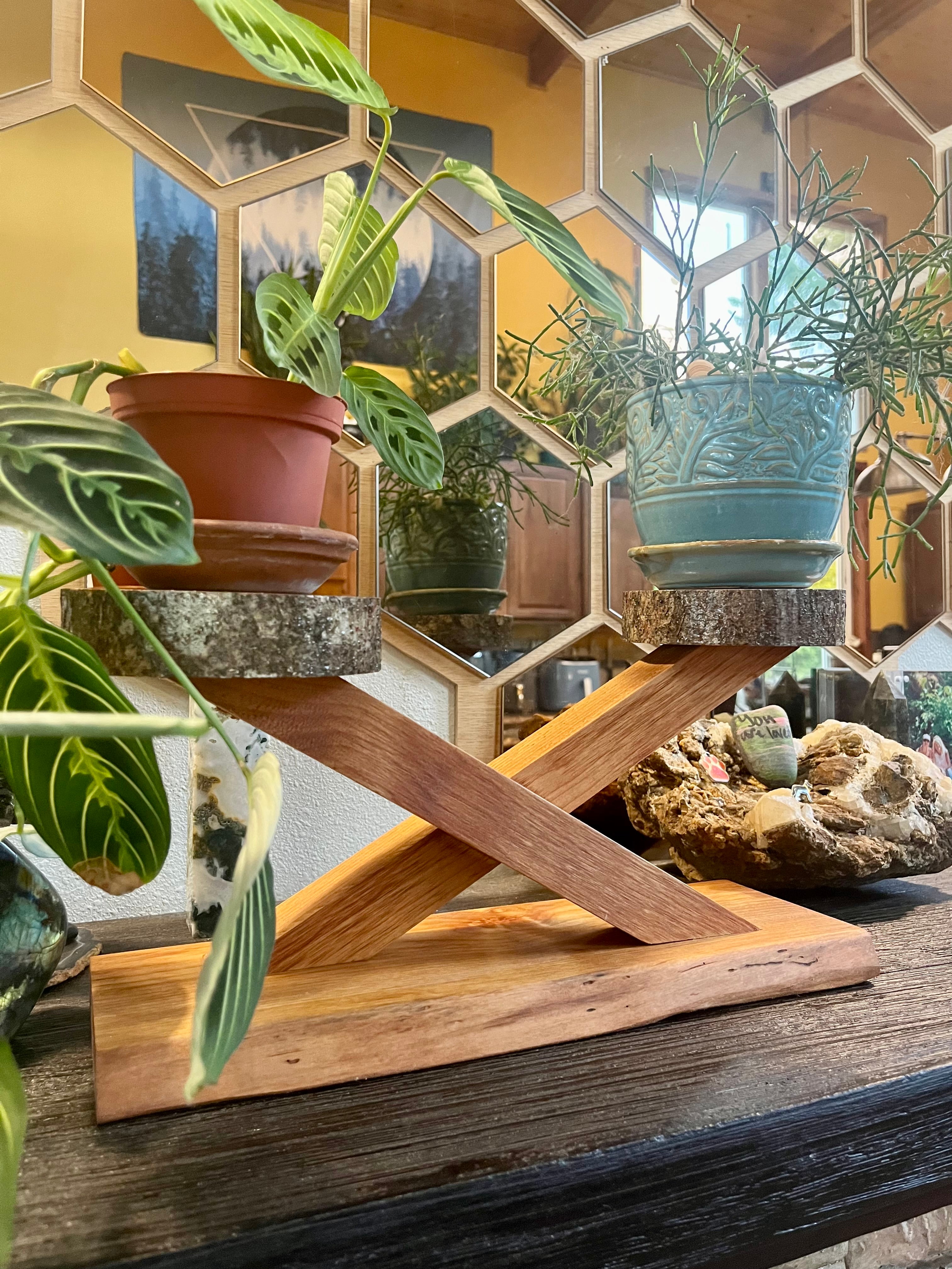 Handcrafted Apple & Alder Wood Plant Display Stand