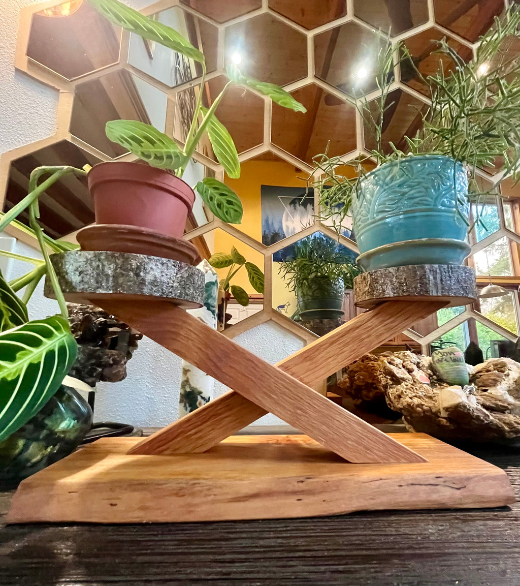 Handcrafted Apple & Alder Wood Plant Display Stand