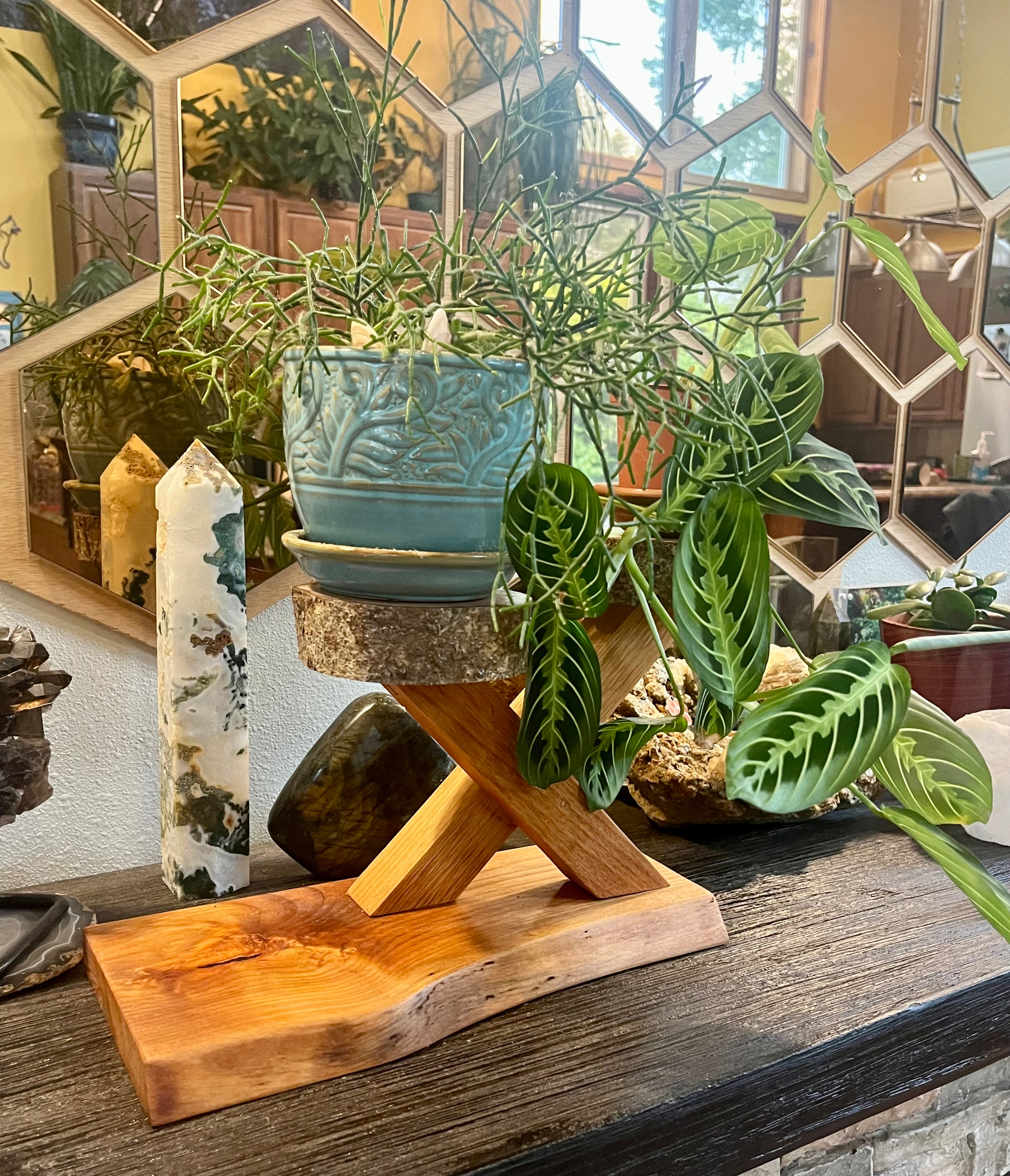Organic Live-Edge Wooden Plant & Accent Stand