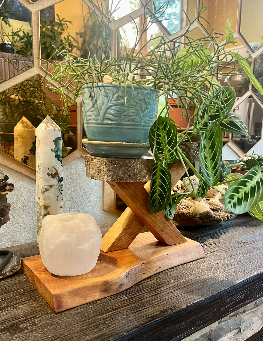 Organic Live-Edge Wooden Plant & Accent Stand