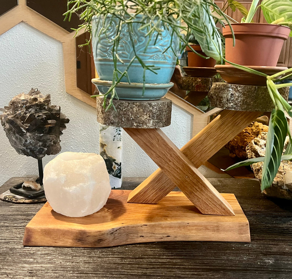 Organic Live-Edge Wooden Plant & Accent Stand