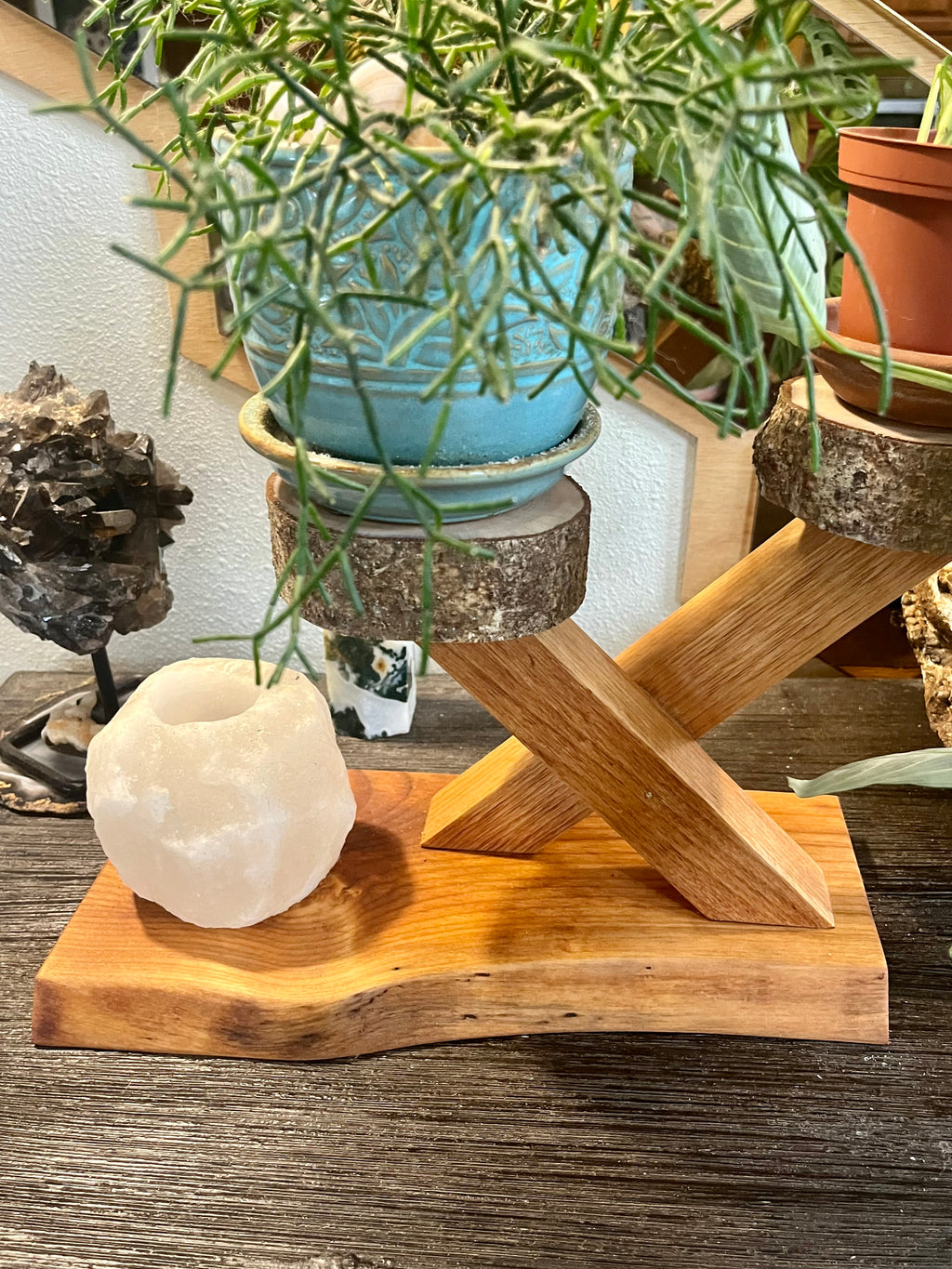Organic Live-Edge Wooden Plant & Accent Stand