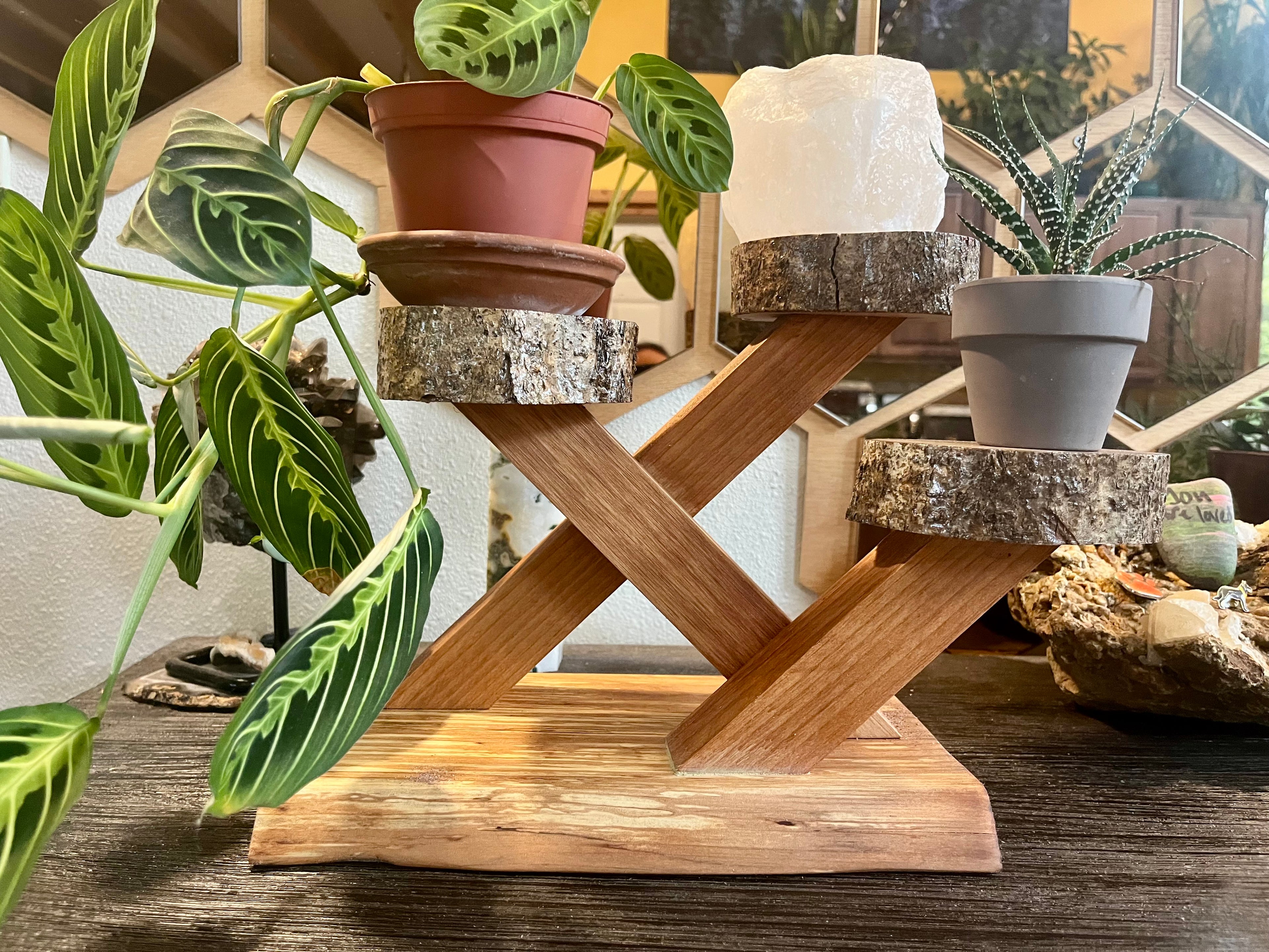 Sculptural Alder & Apple Wood Plant Stand with Live-Edge Base