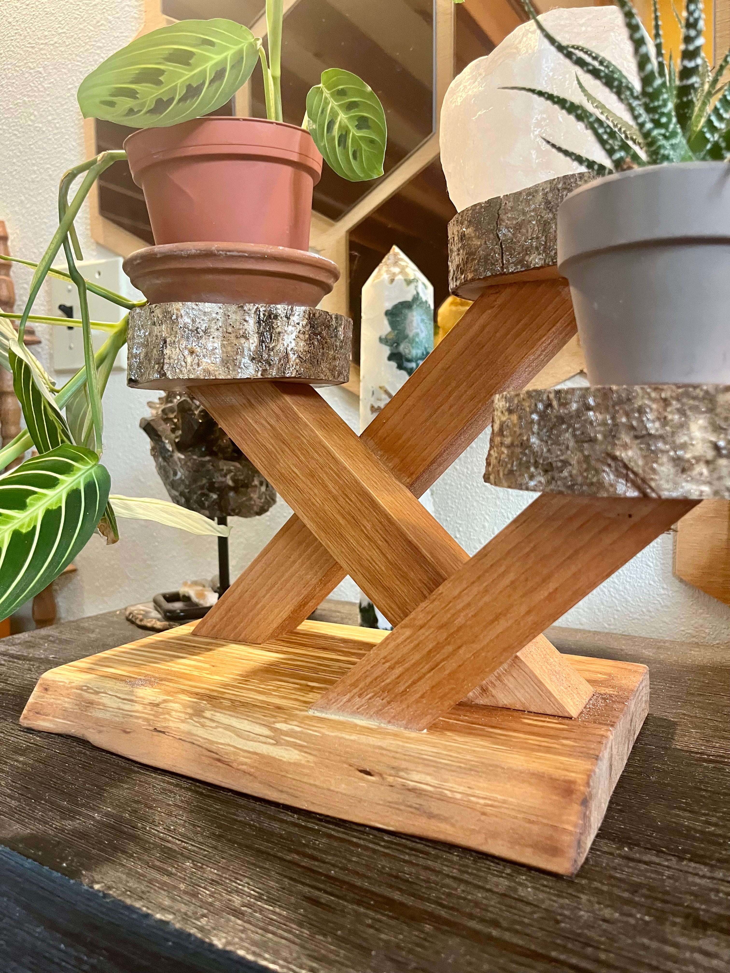 Sculptural Alder & Apple Wood Plant Stand with Live-Edge Base