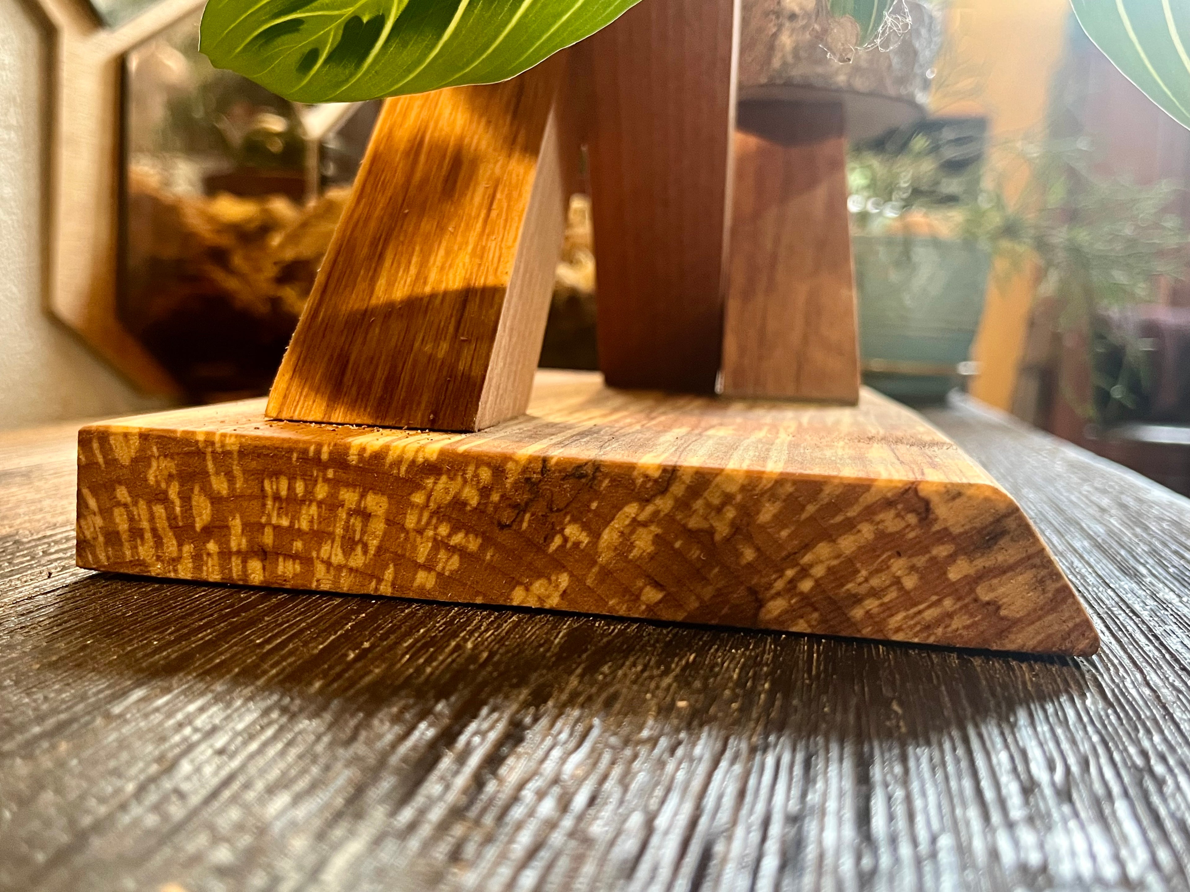 Sculptural Alder & Apple Wood Plant Stand with Live-Edge Base
