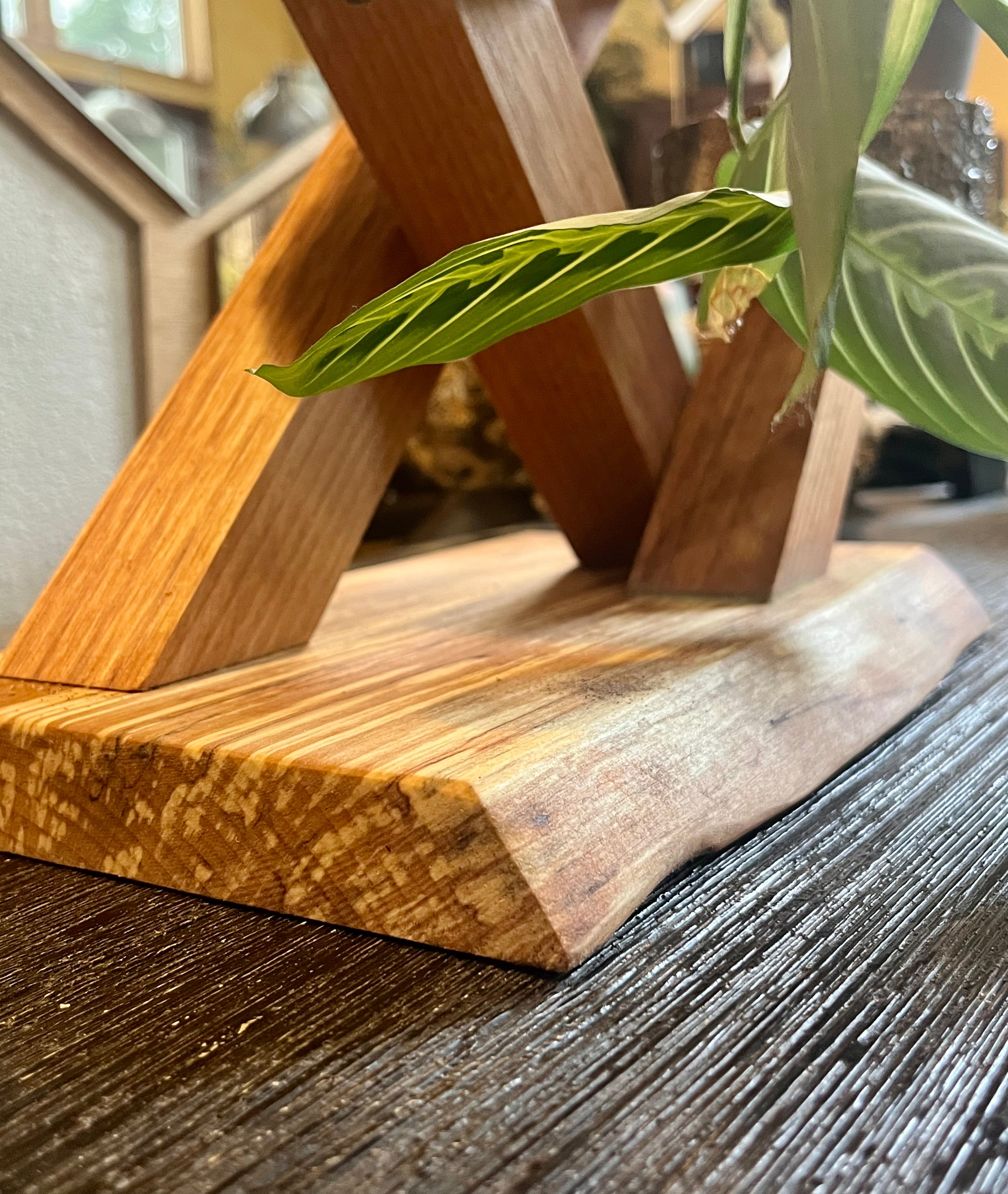 Sculptural Alder & Apple Wood Plant Stand with Live-Edge Base