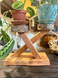 Live-Edge Alder & Apple Wood Plant Stand