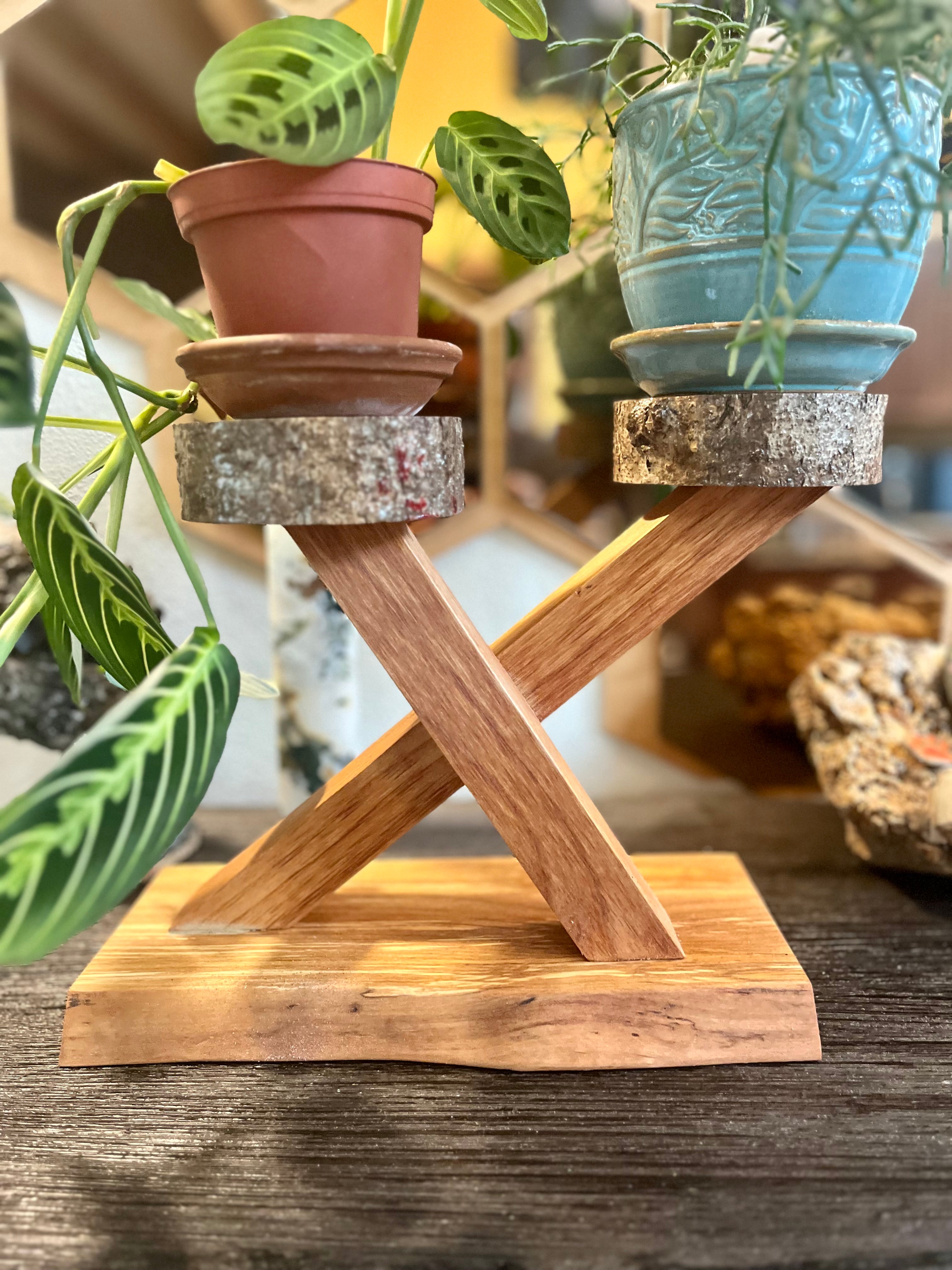 Live-Edge Alder & Apple Wood Plant Stand