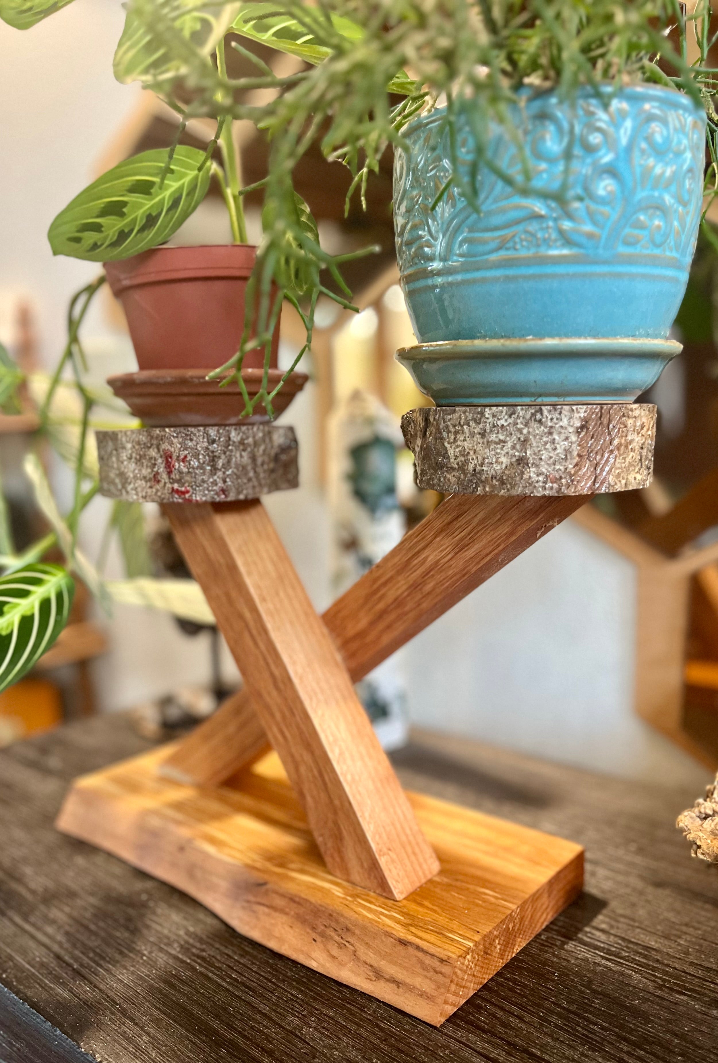 Live-Edge Alder & Apple Wood Plant Stand