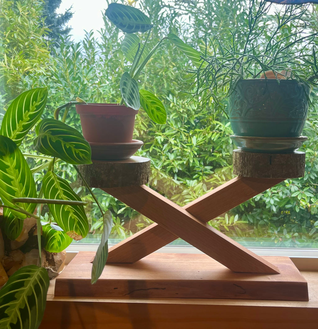 Handcrafted Apple & Alder Wood Display Stand