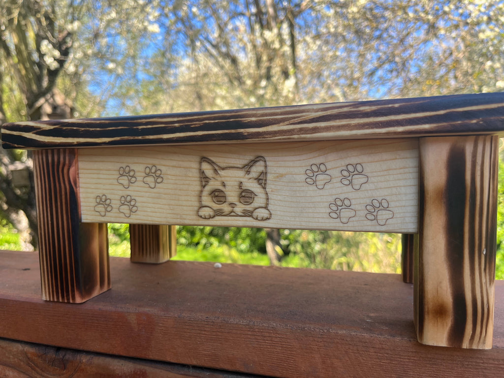 Handcrafted Elevated Cat Feeder – Burned Wood with Dual Bowls & Engraved Detail